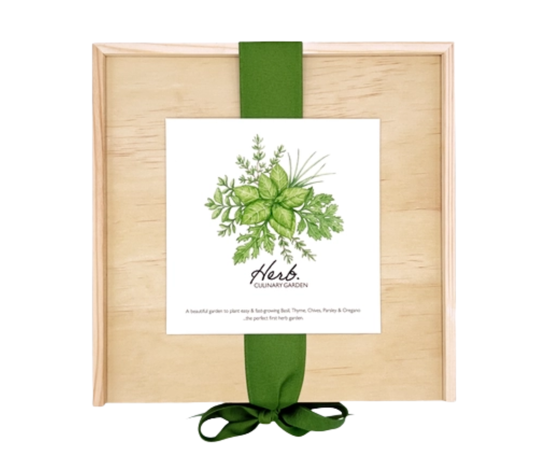 2026 Herb Garden Grow Kit.png