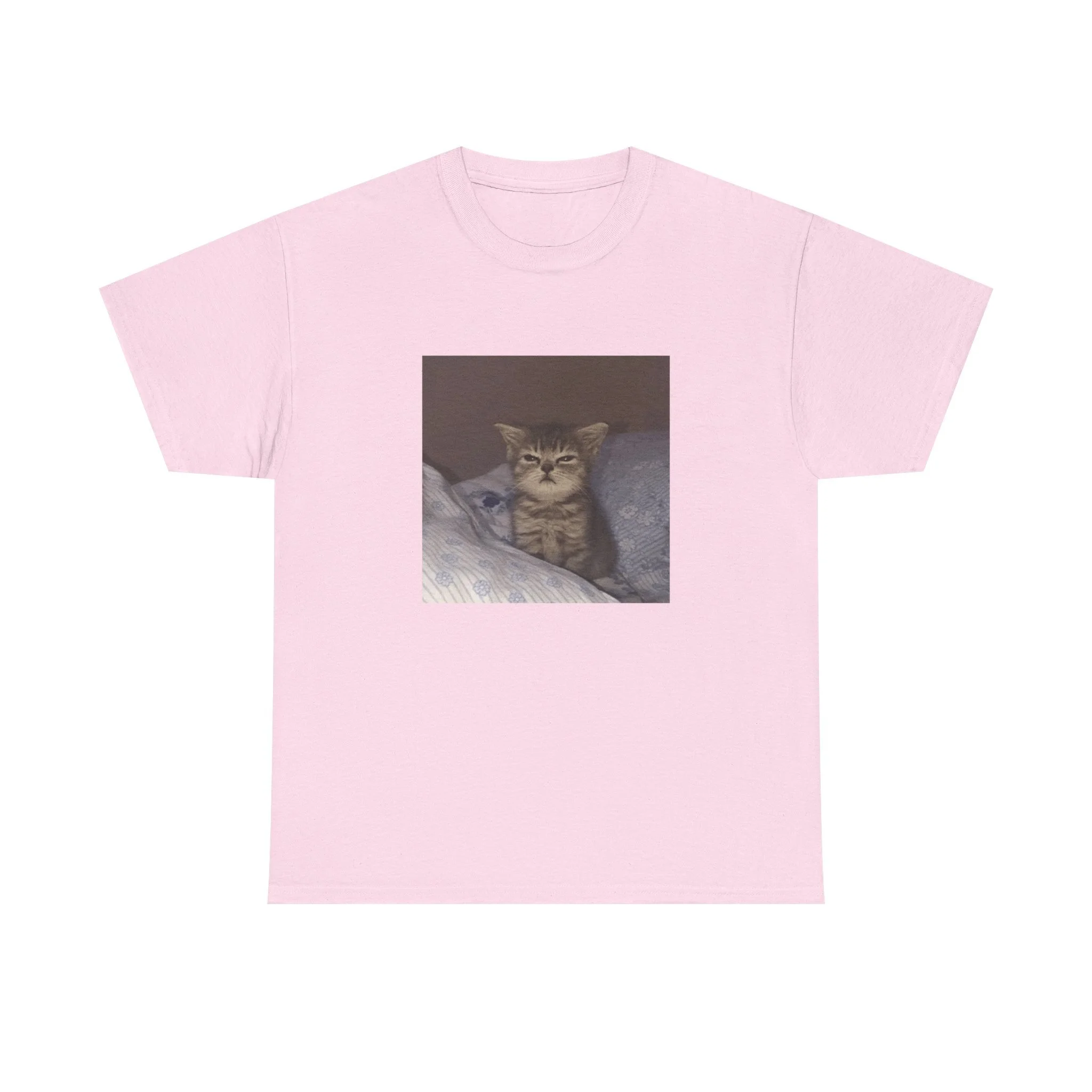 Eepykitty.pink.png