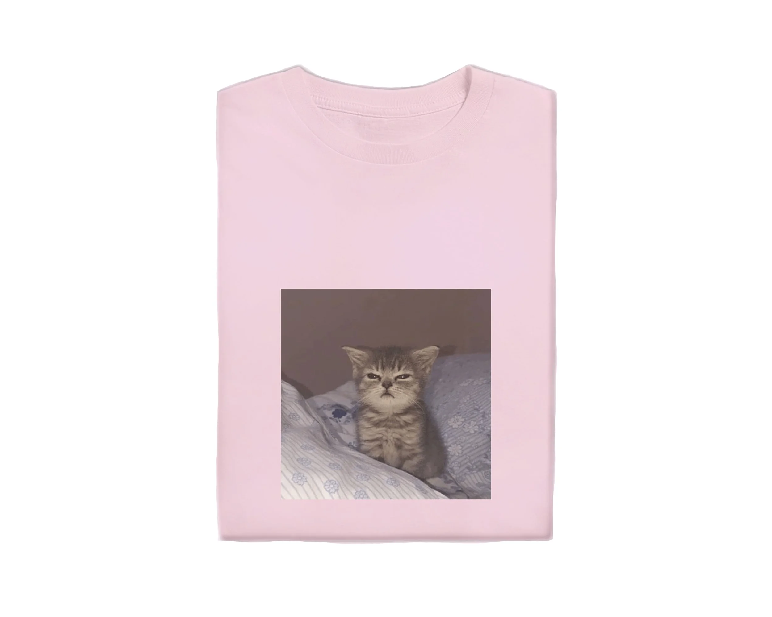 eepykitty.final.jpg