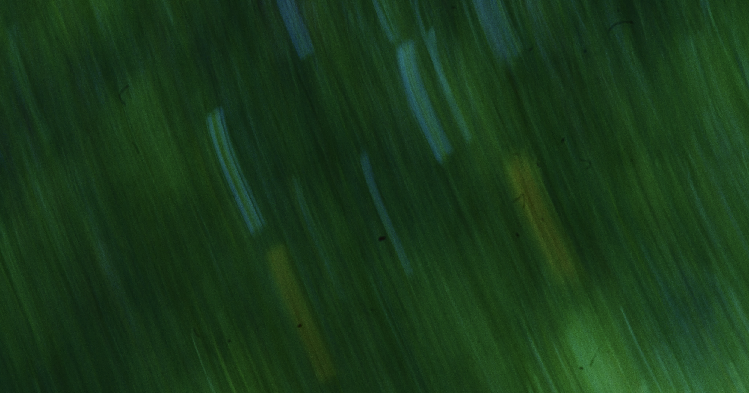 Screenshot 2025-05-02 at 12.47.21 PM.png