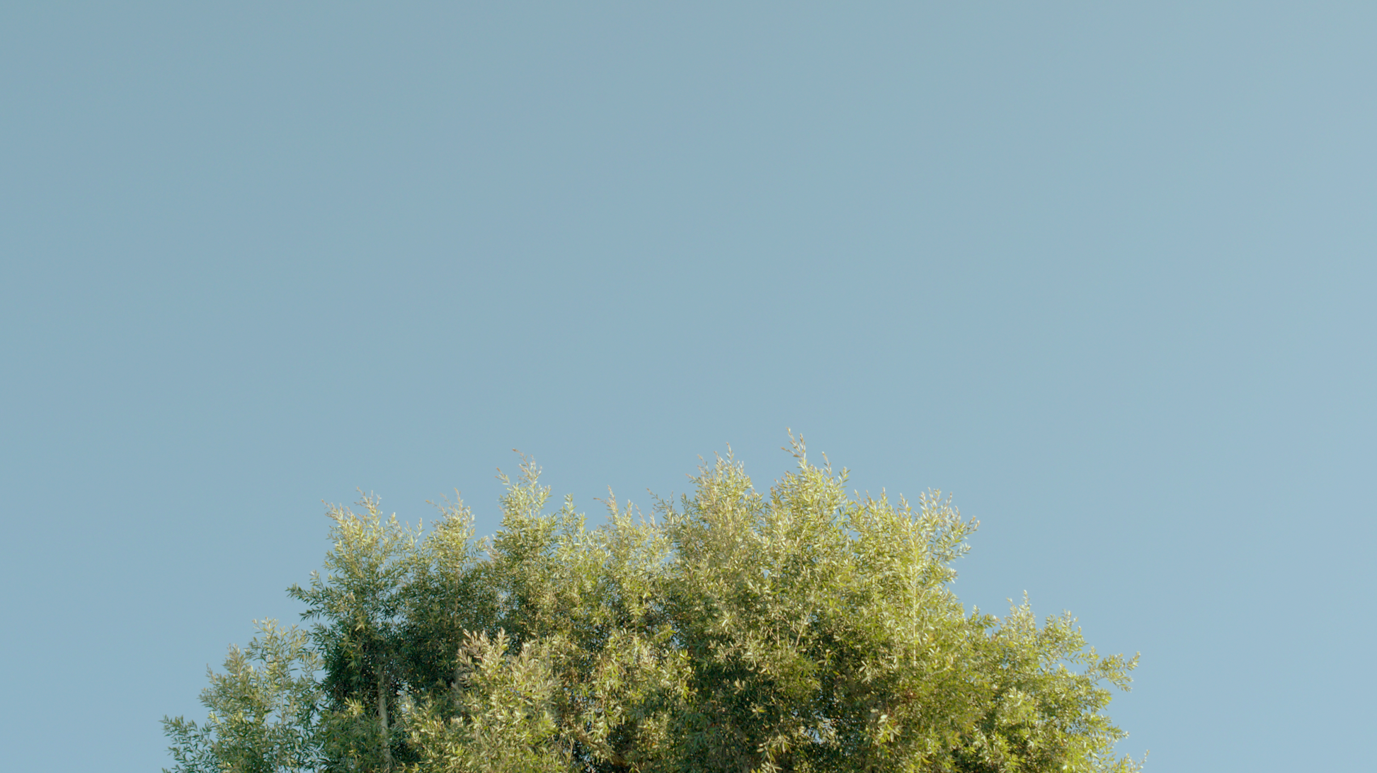 Screen Shot 2022-04-22 at 12.58.03 PM.png