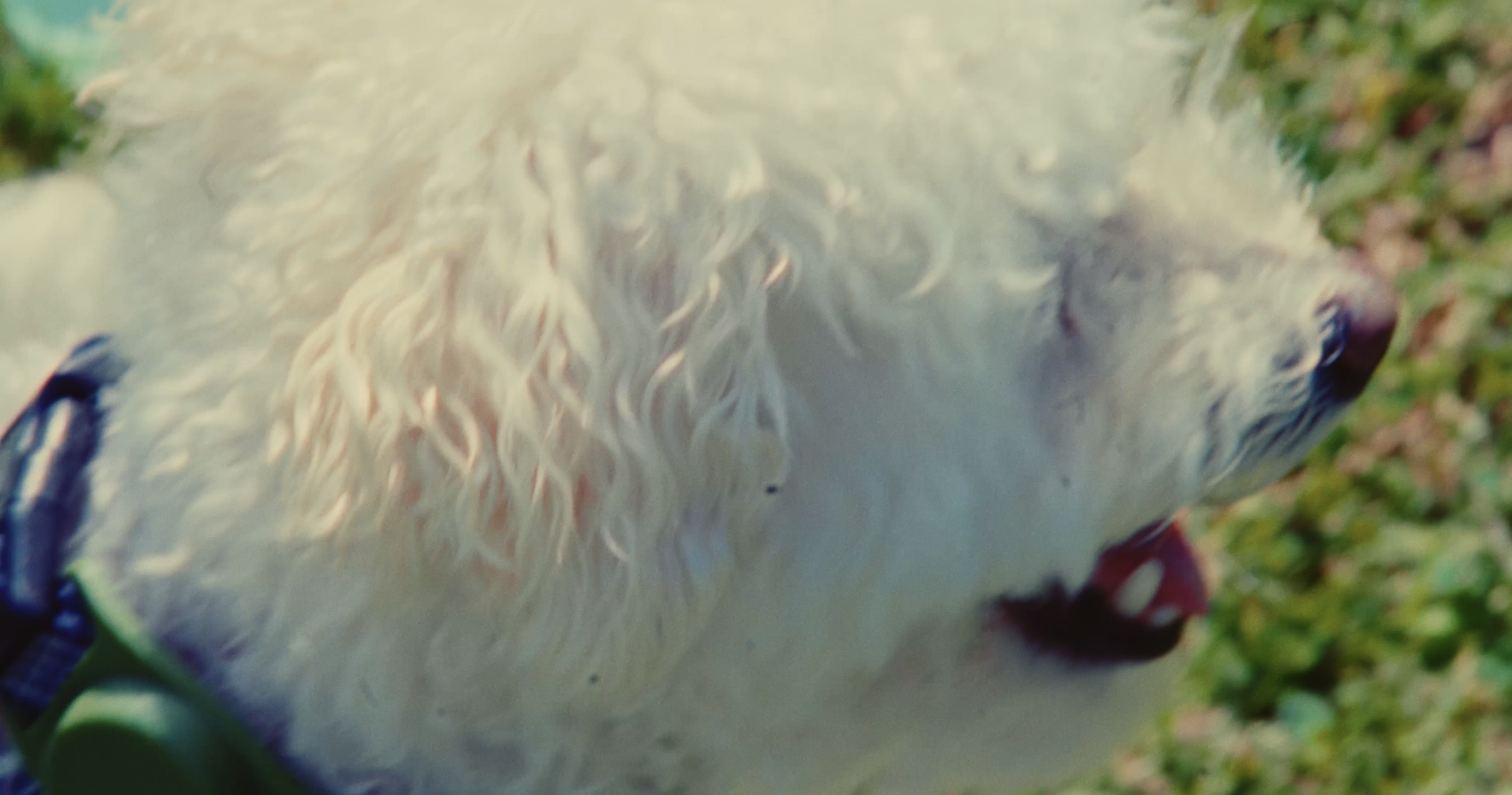 Screenshot 2025-05-02 at 12.47.00 PM.png