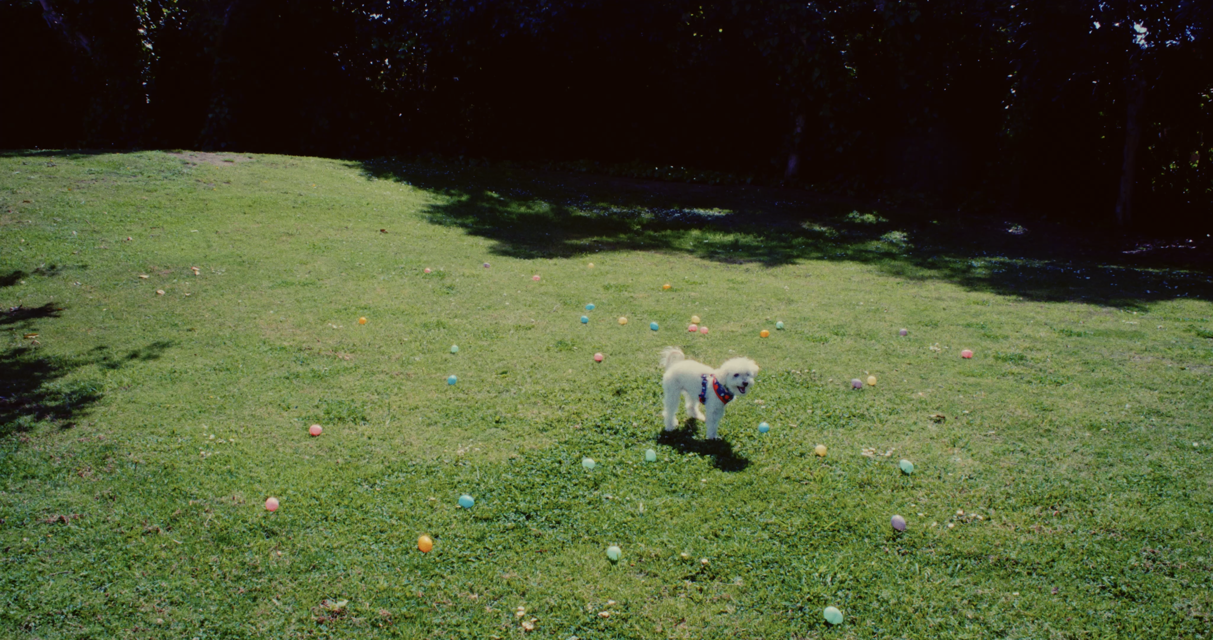 Screenshot 2025-05-02 at 12.45.20 PM.png