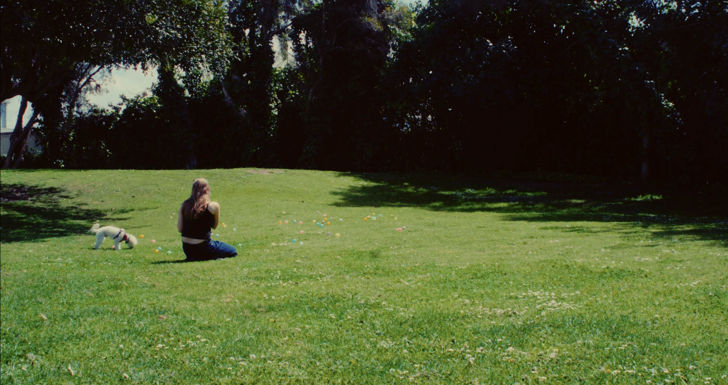 Screenshot 2025-05-02 at 12.47.39 PM.png