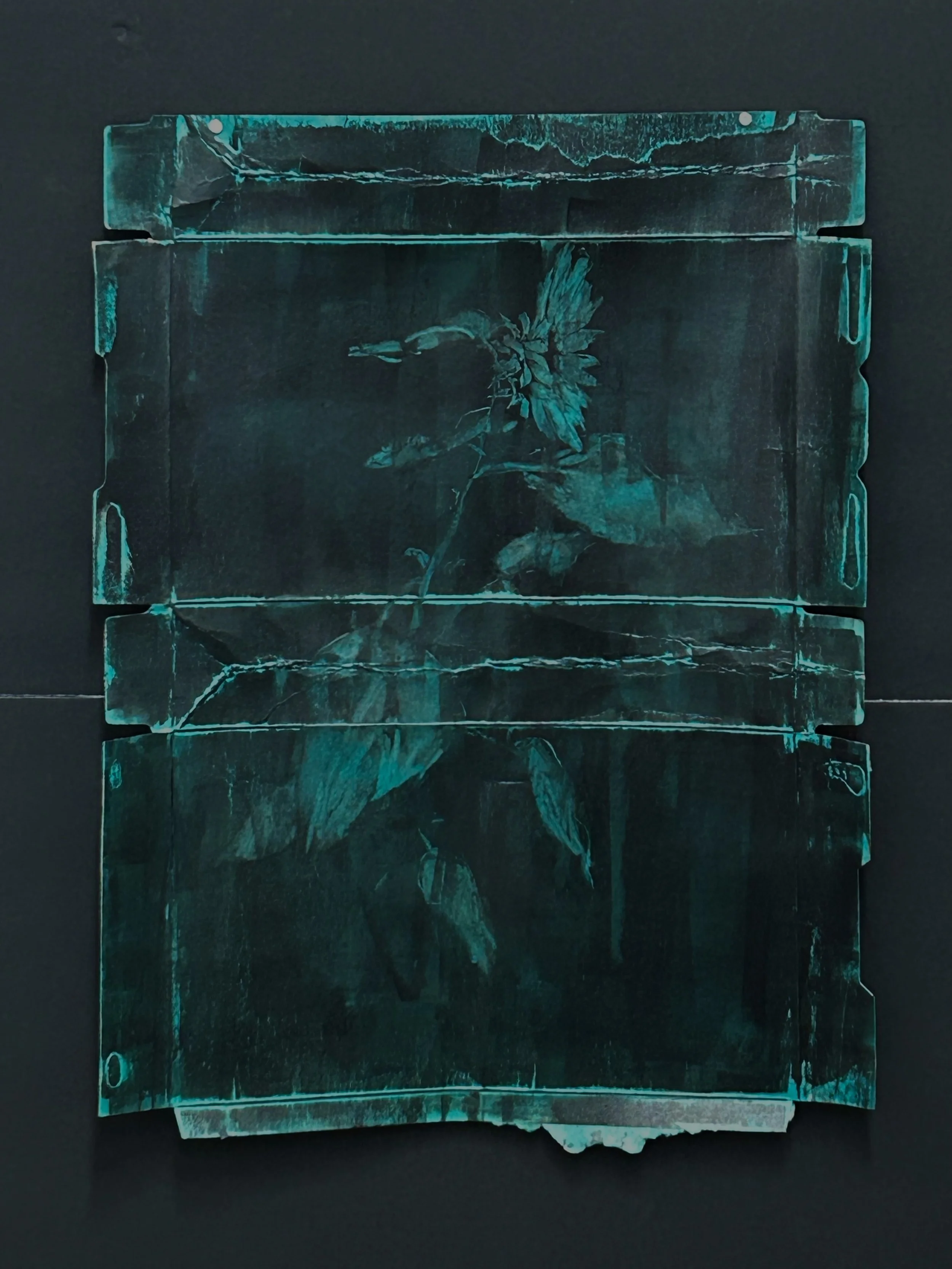 Wallflowers 11 (sunflower in green) 2024 cardboard glued to 24x18 cradled panel