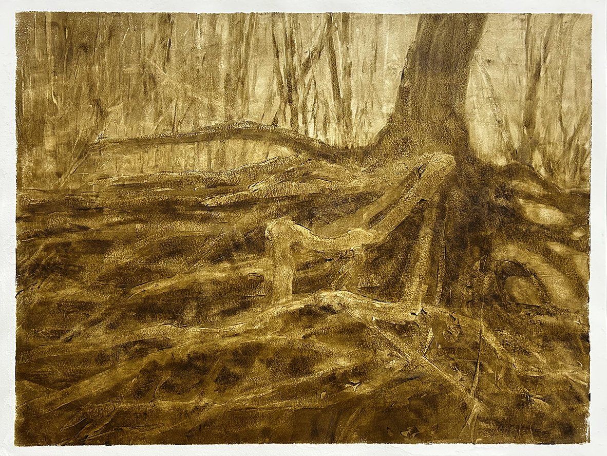 653 Batture Roots II, oil on 18"x24" paper