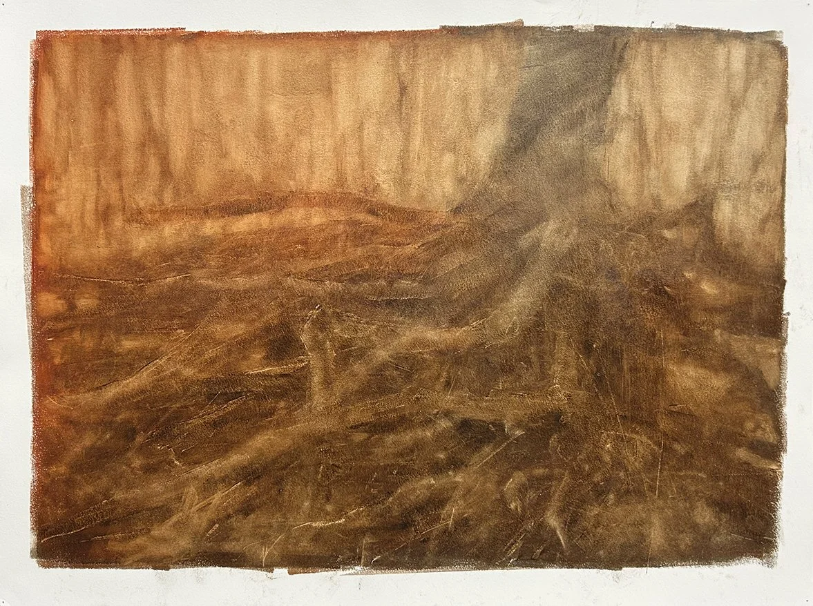 673 Batture Tree Roots, oil on 18"x24" paper
