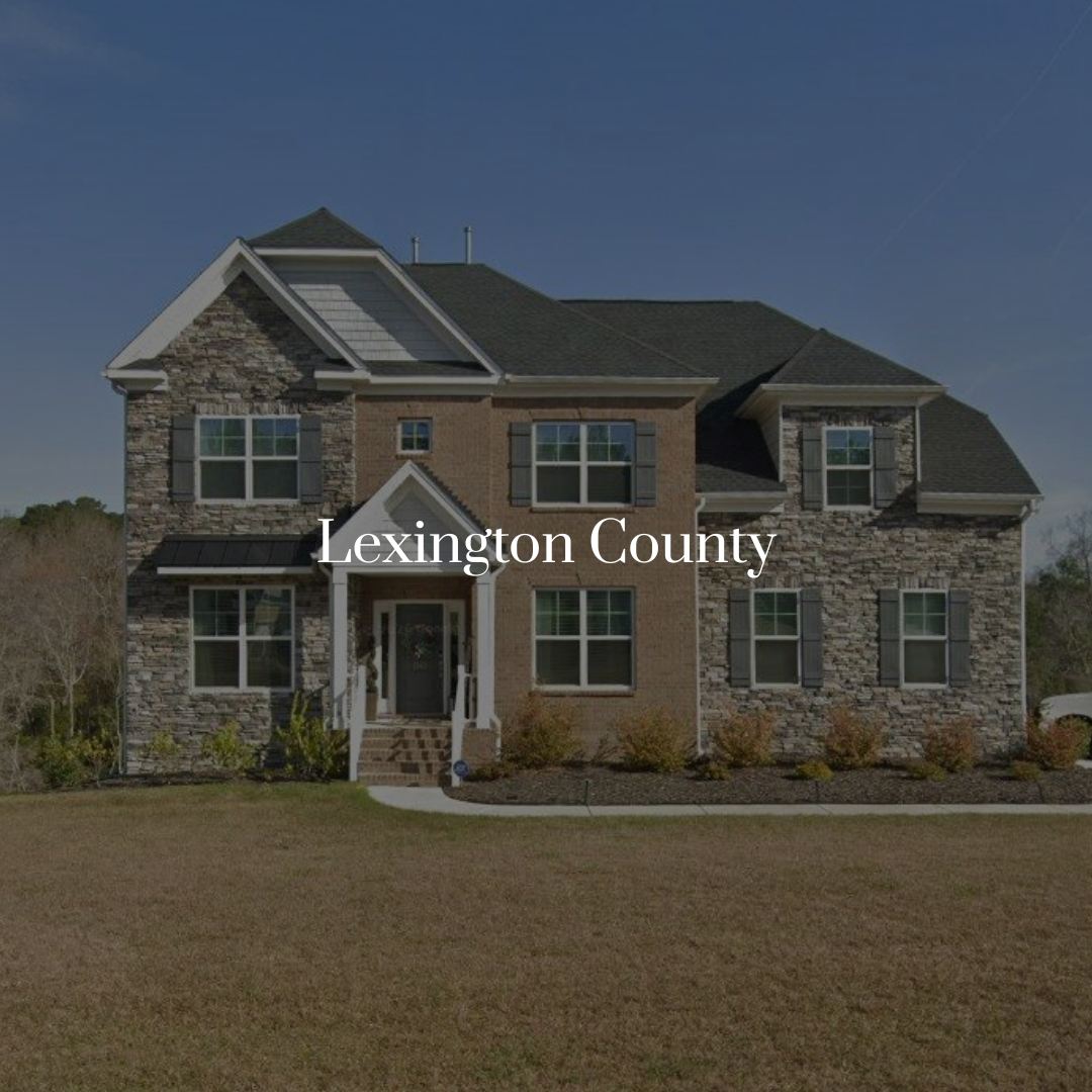 Lexington Co_Website Icon.png