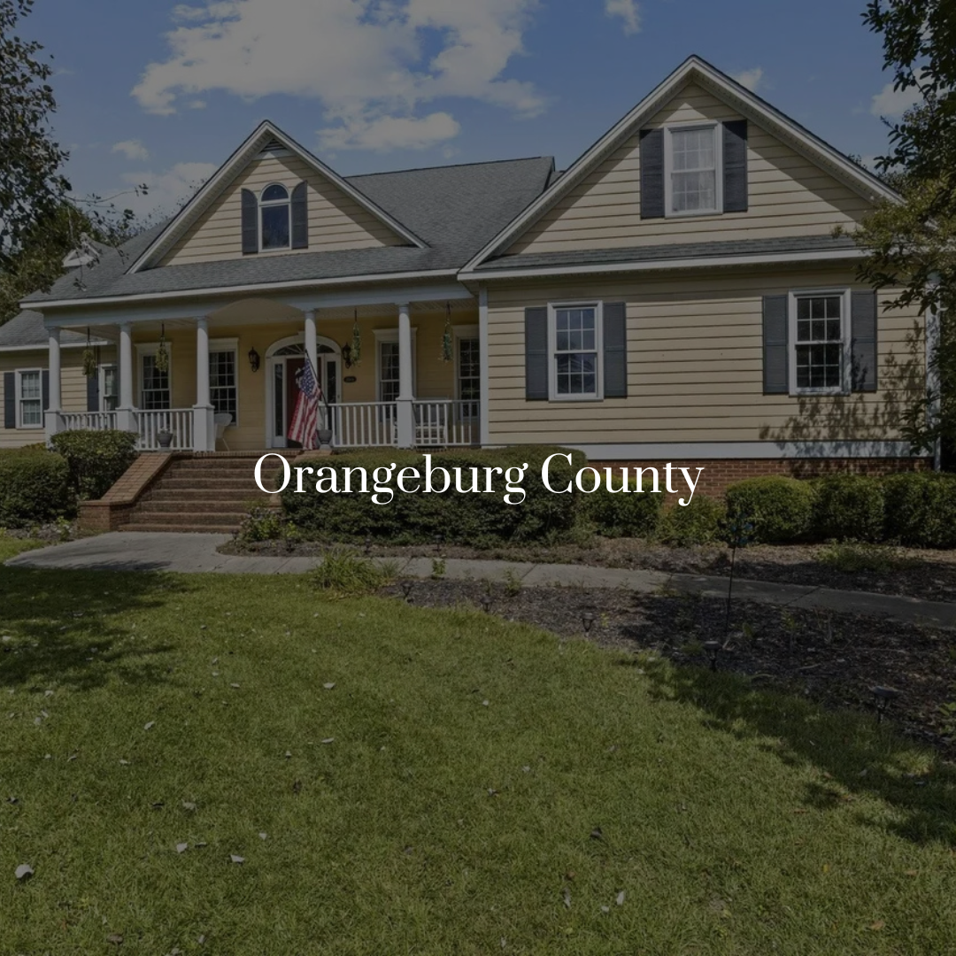 Orangeburg Co_Website Icon.png