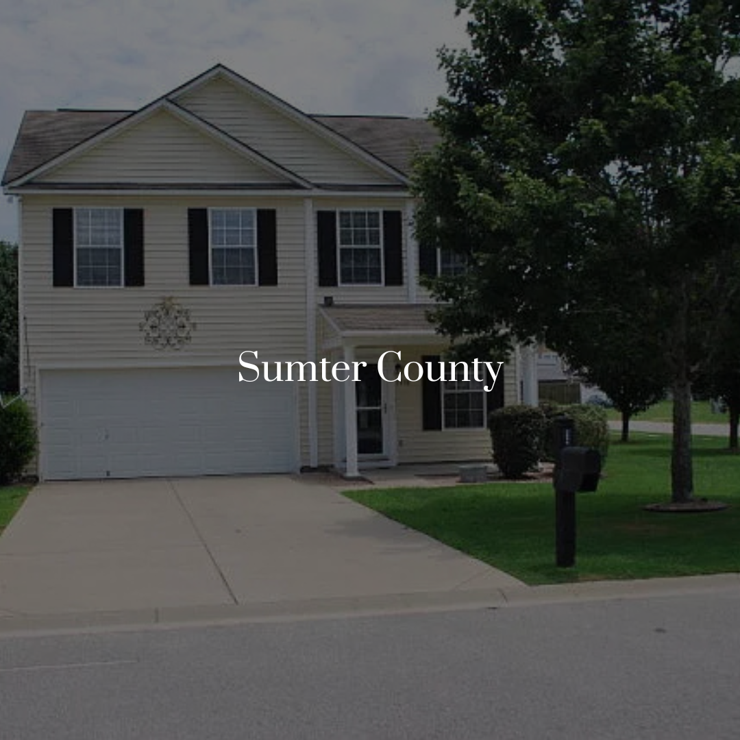 Sumter Co_Website Icon.png