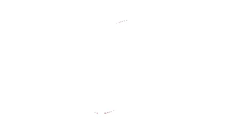 Blank.webp