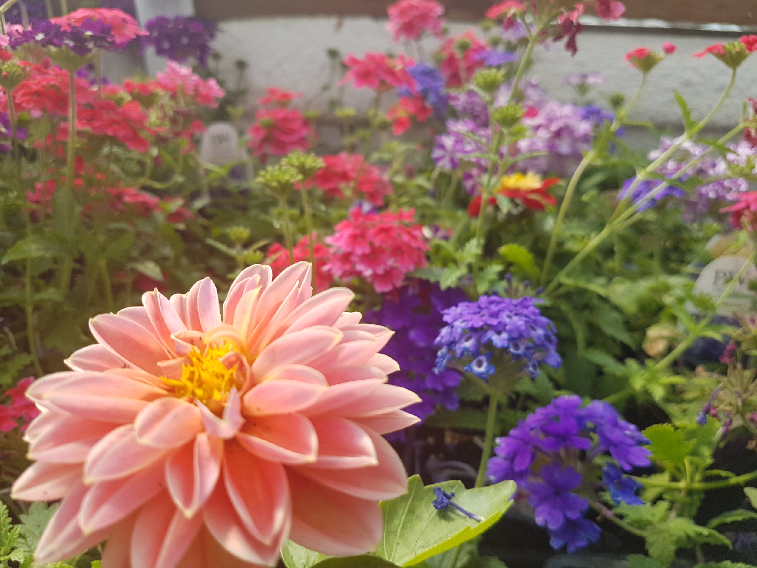 20160528_125647.jpg