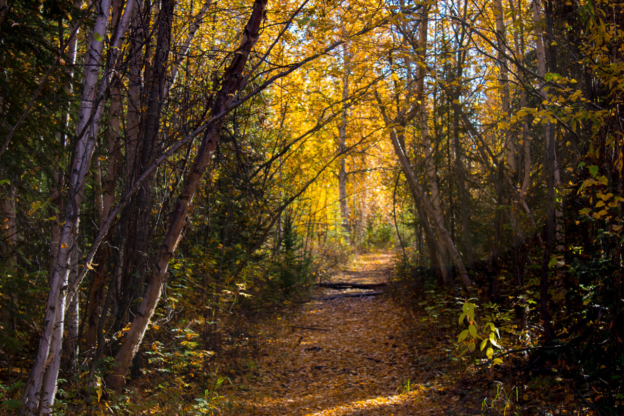 trail-1.jpg