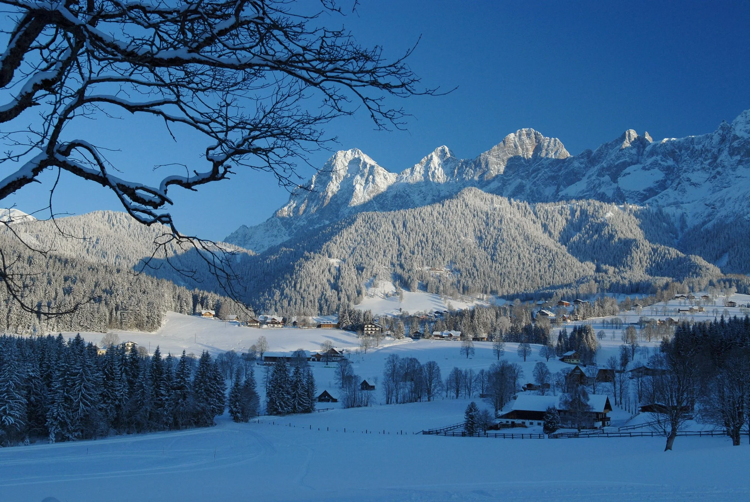Langlaufen in der Ramsau am Dachstein: 220 km Loipennetz und exklusive Rabatte mit der Ramsauer WinterCard.