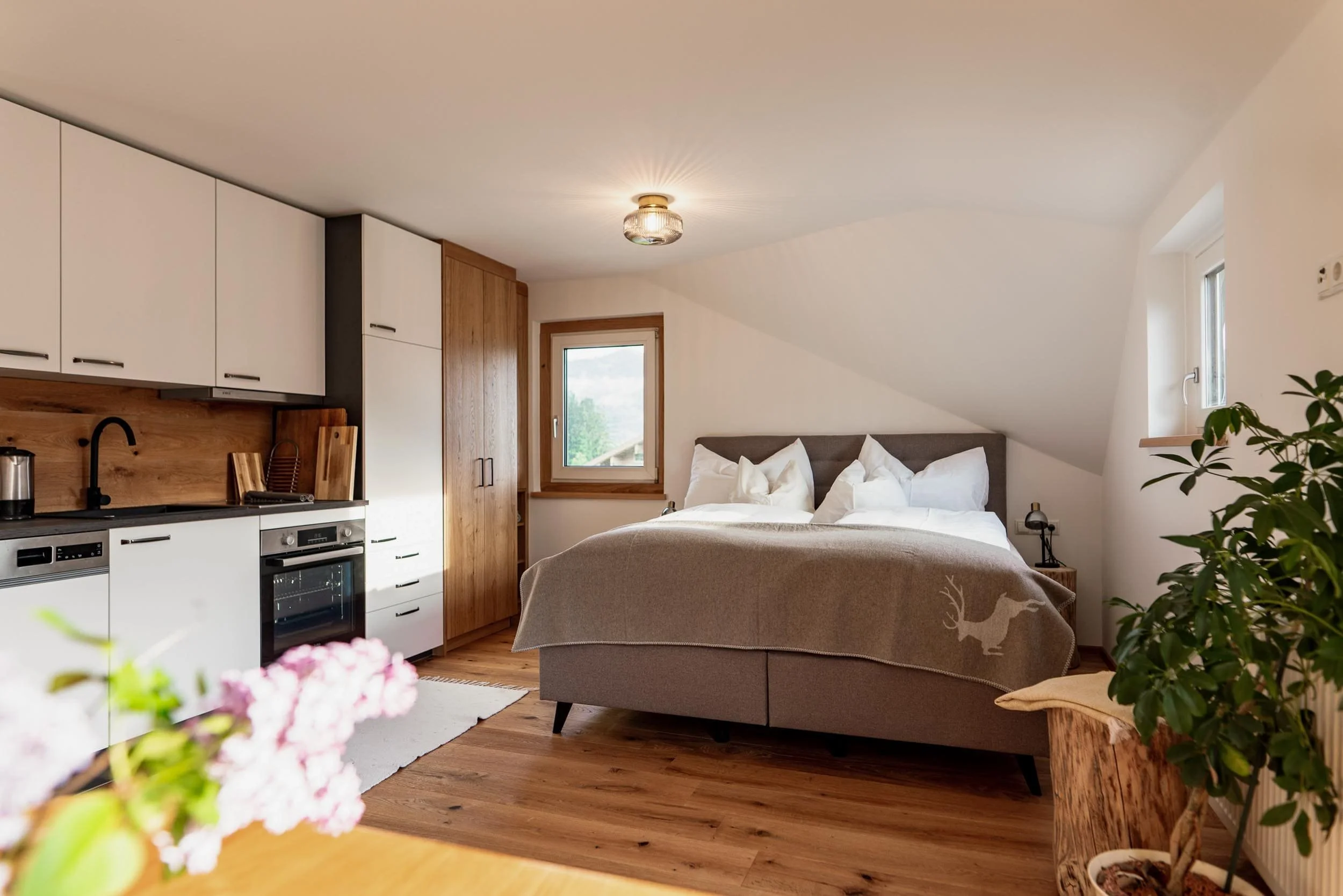 Günstiges Apartmenr für 2 Personen, Studio