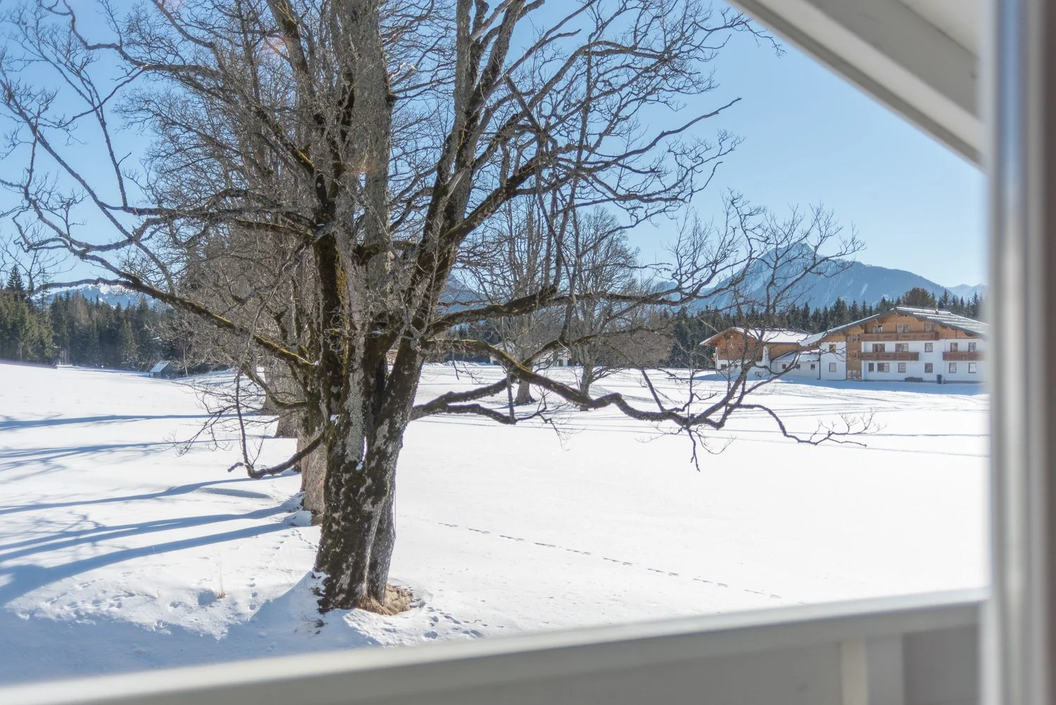Aussicht Balkon