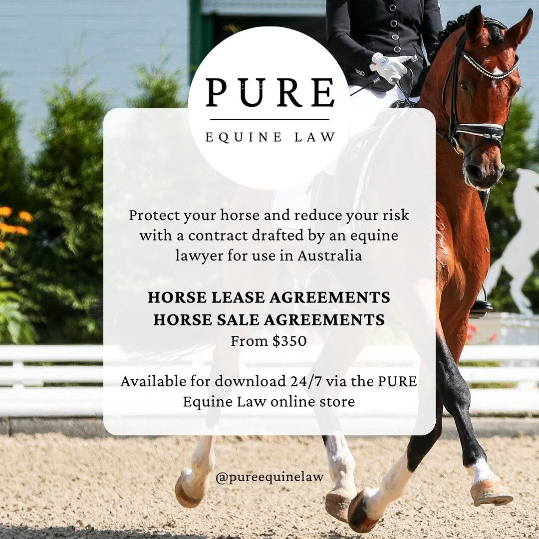 PURE Equine Law - About