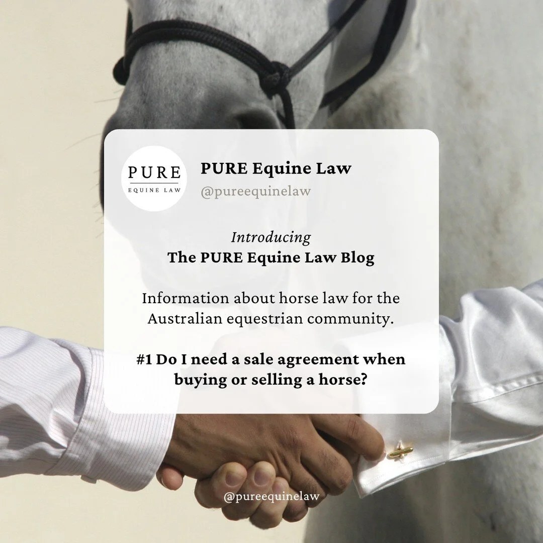 PURE Equine Law - About