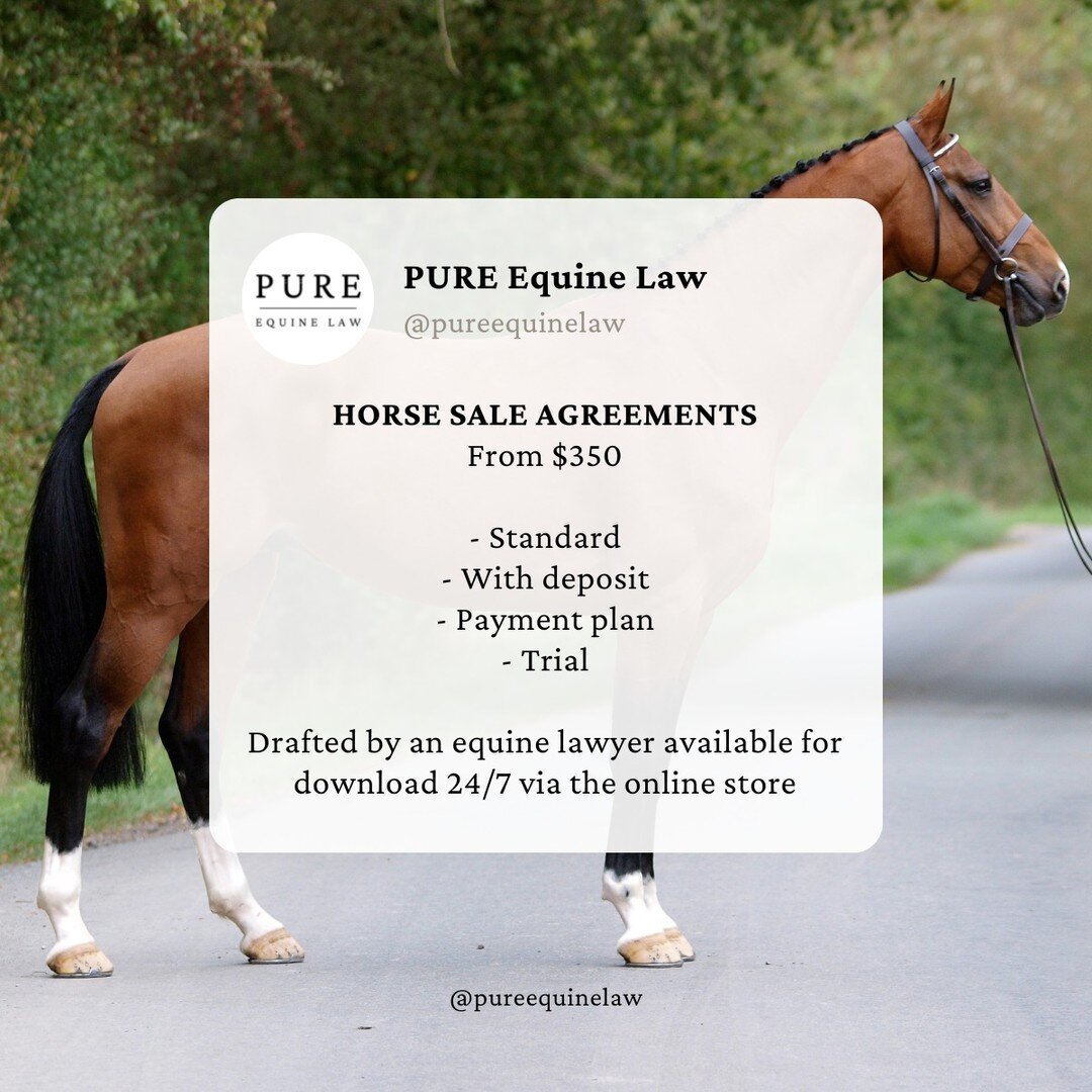 PURE Equine Law - About