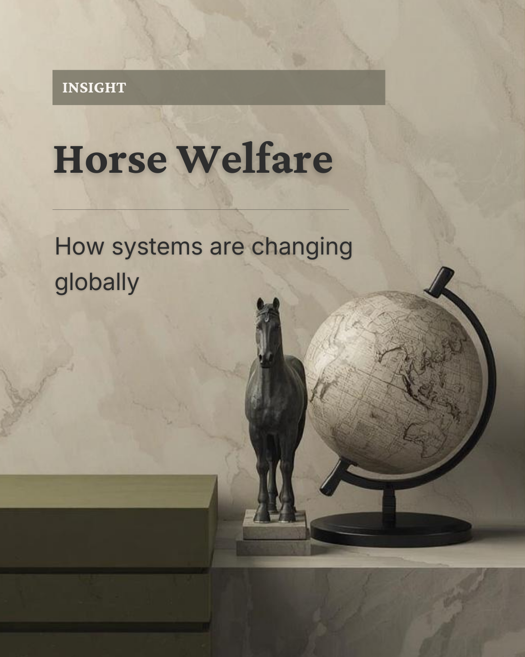 horse welfare law governance system