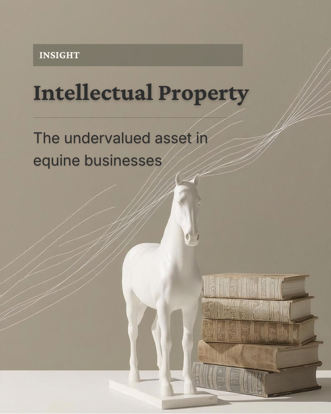 pure equine law business