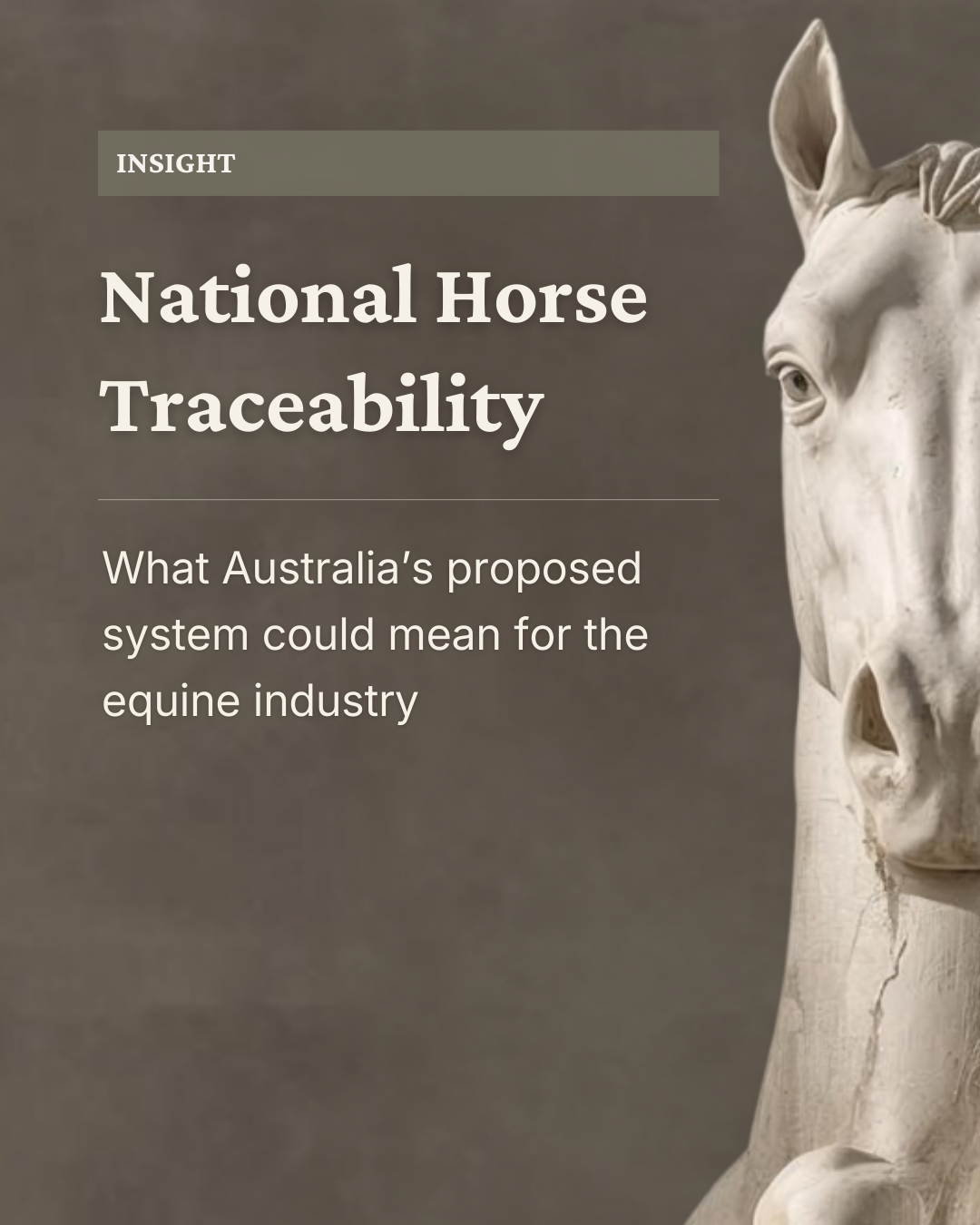 National Horse Traceability - What Australia’s new system could mean for you