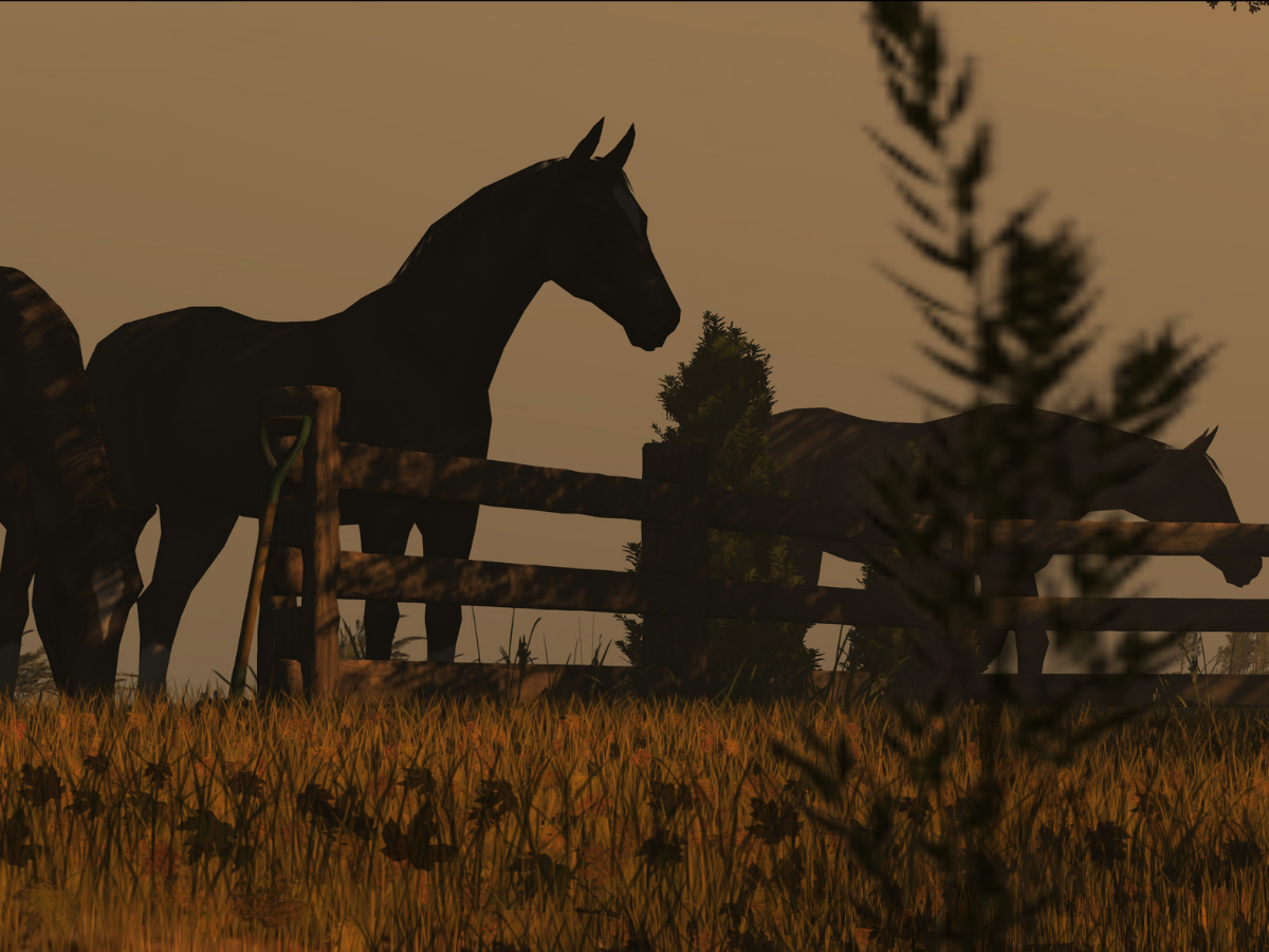 When Horses Escape - Understanding liability for road accidents