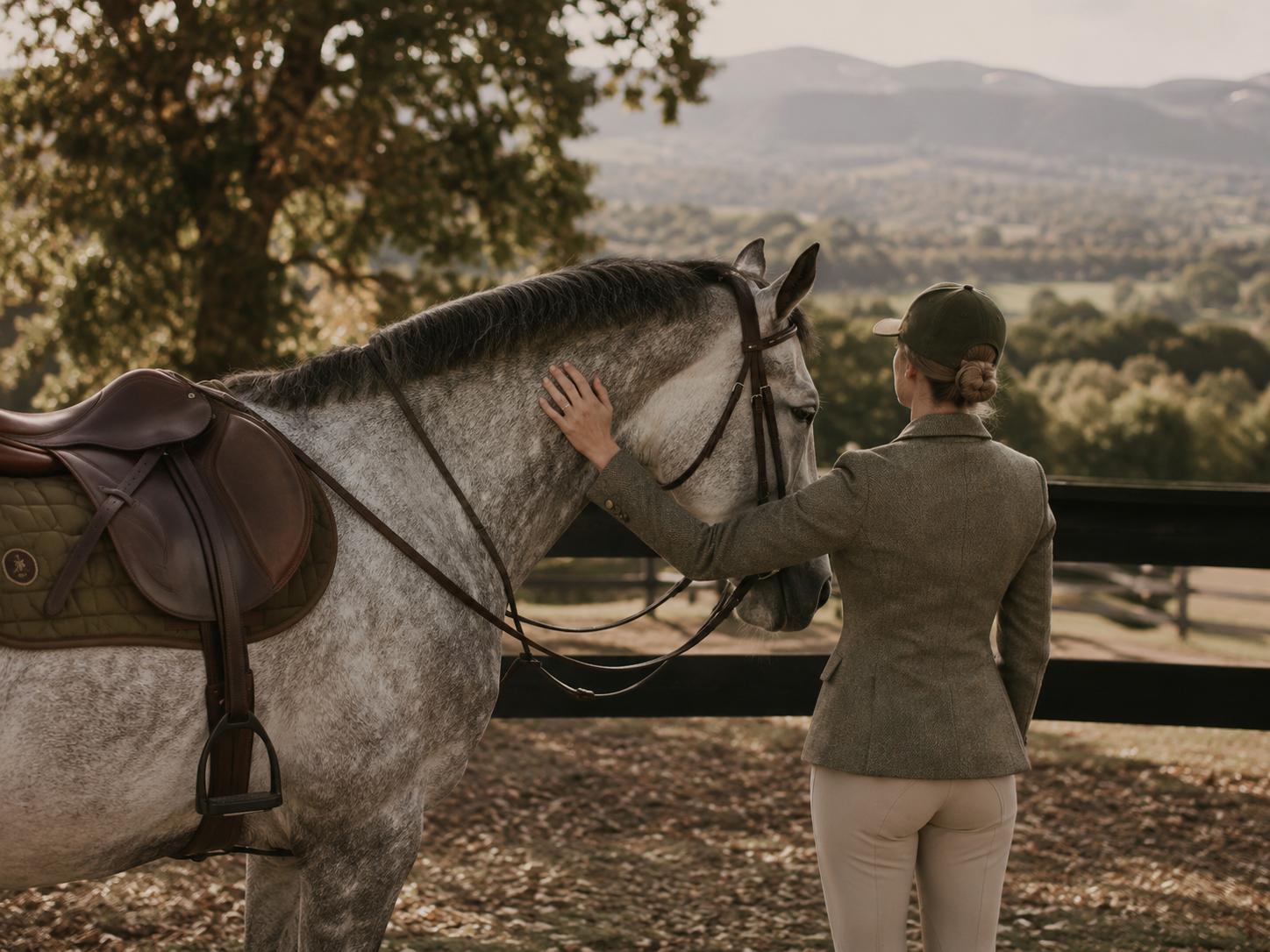 Horse sale lease contract