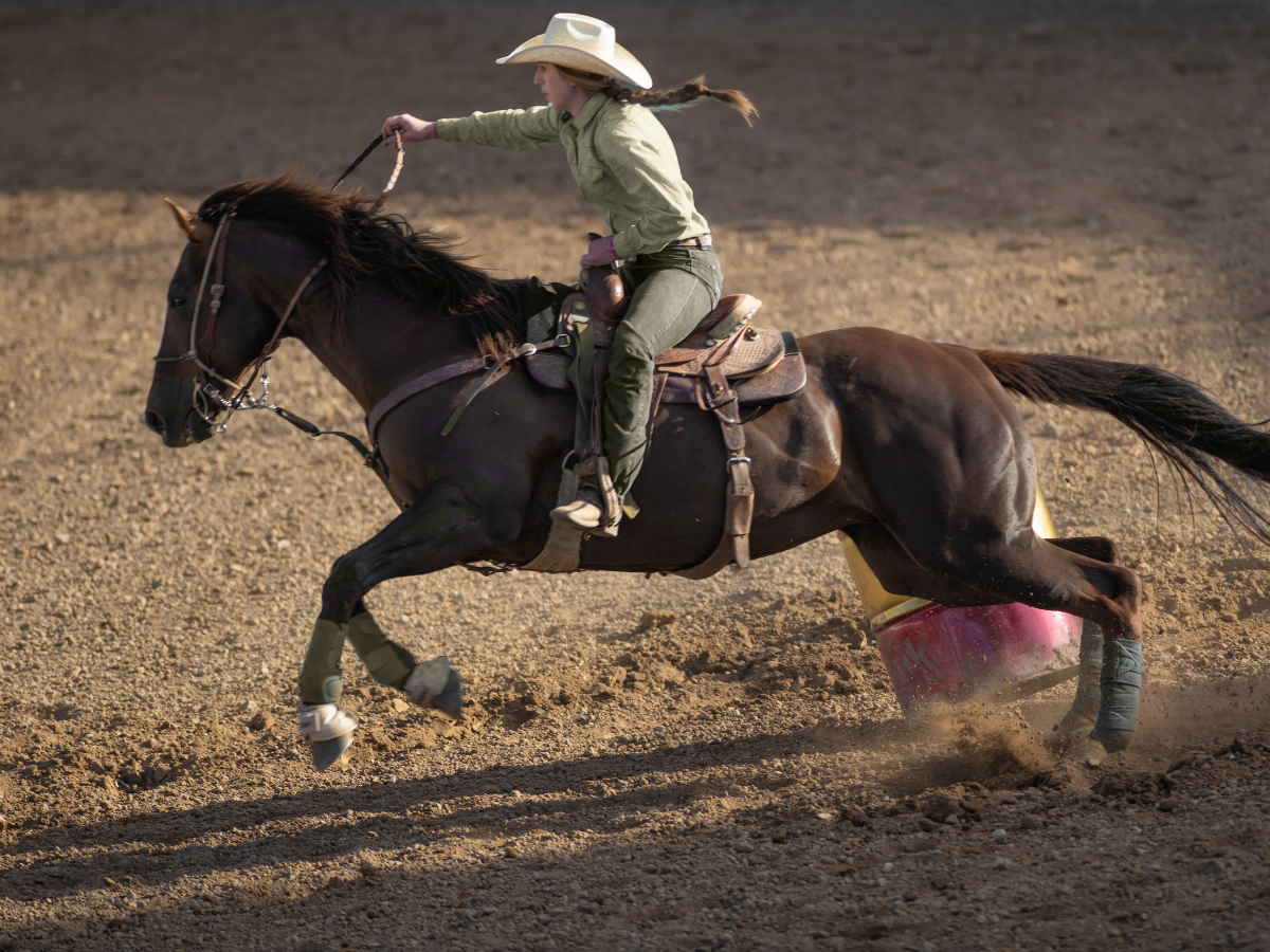When Arena Conditions Turn Dangerous - High Court rules on organiser liability in Tapp v ABCRA