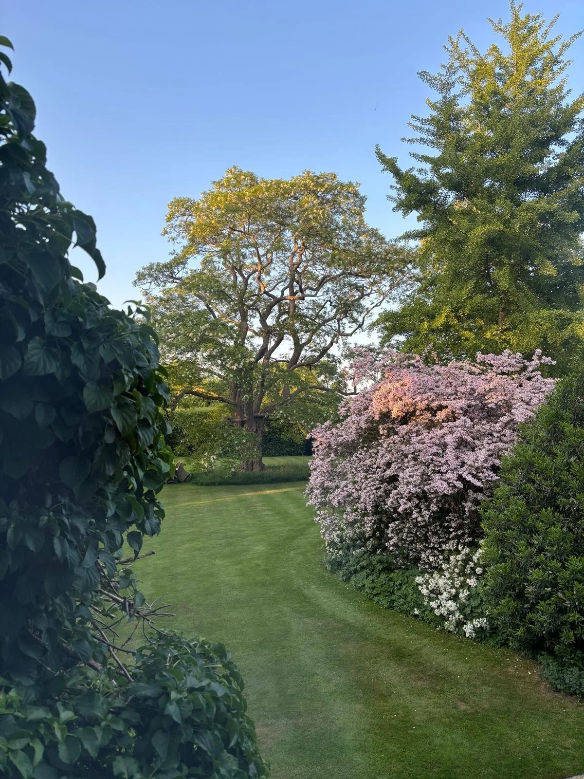 WhatsApp Image 2025-11-27 at 18.13.48.jpeg