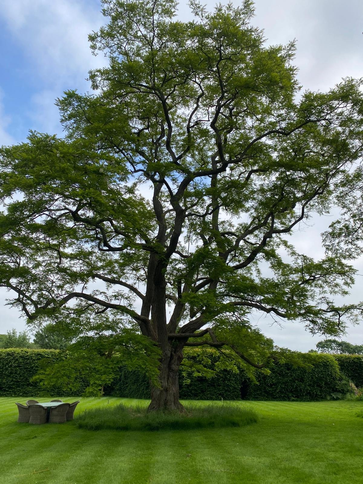 WhatsApp Image 2025-11-27 at 18.09.41.jpeg