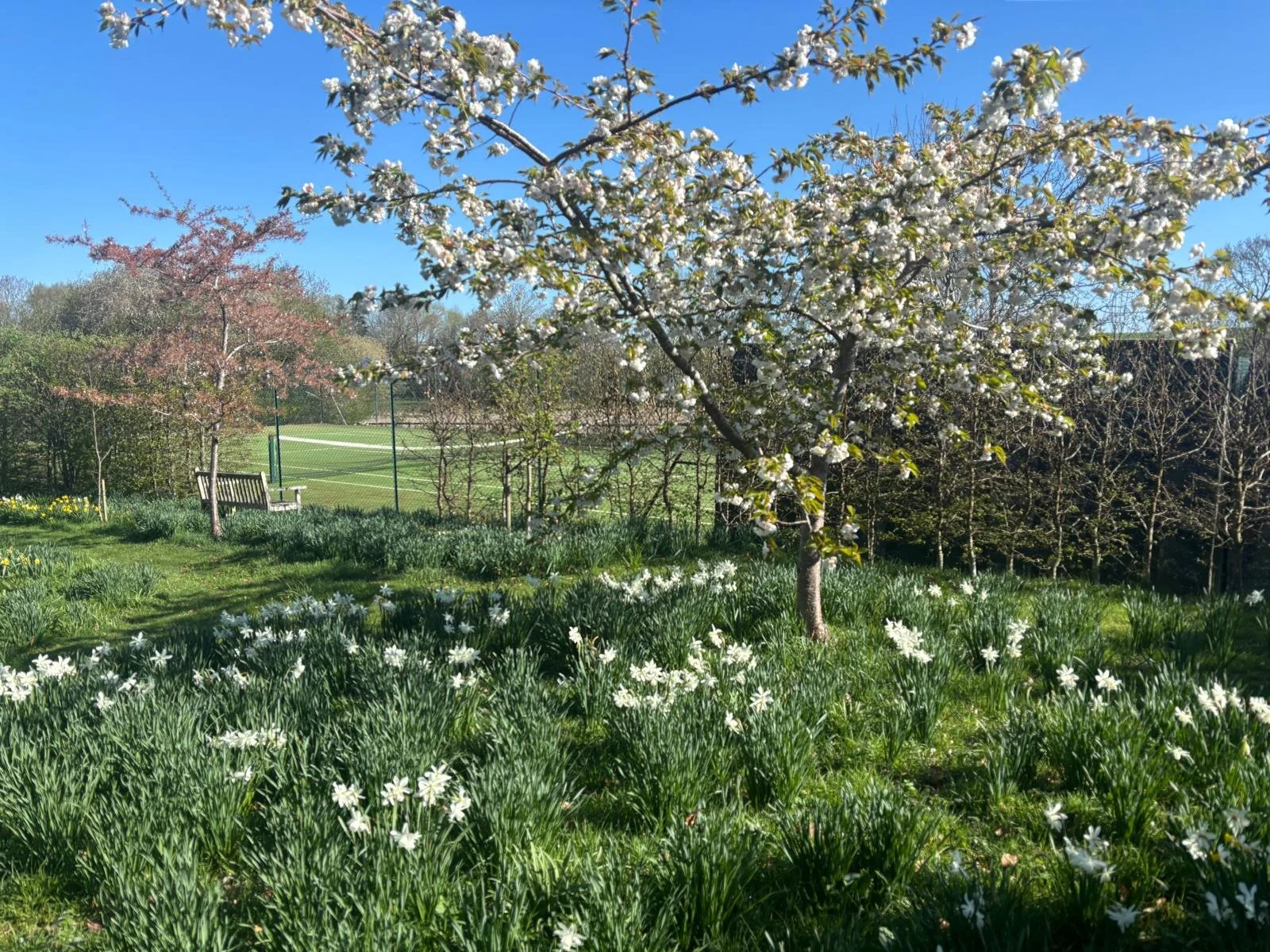 WhatsApp Image 2025-11-27 at 18.25.39.jpeg