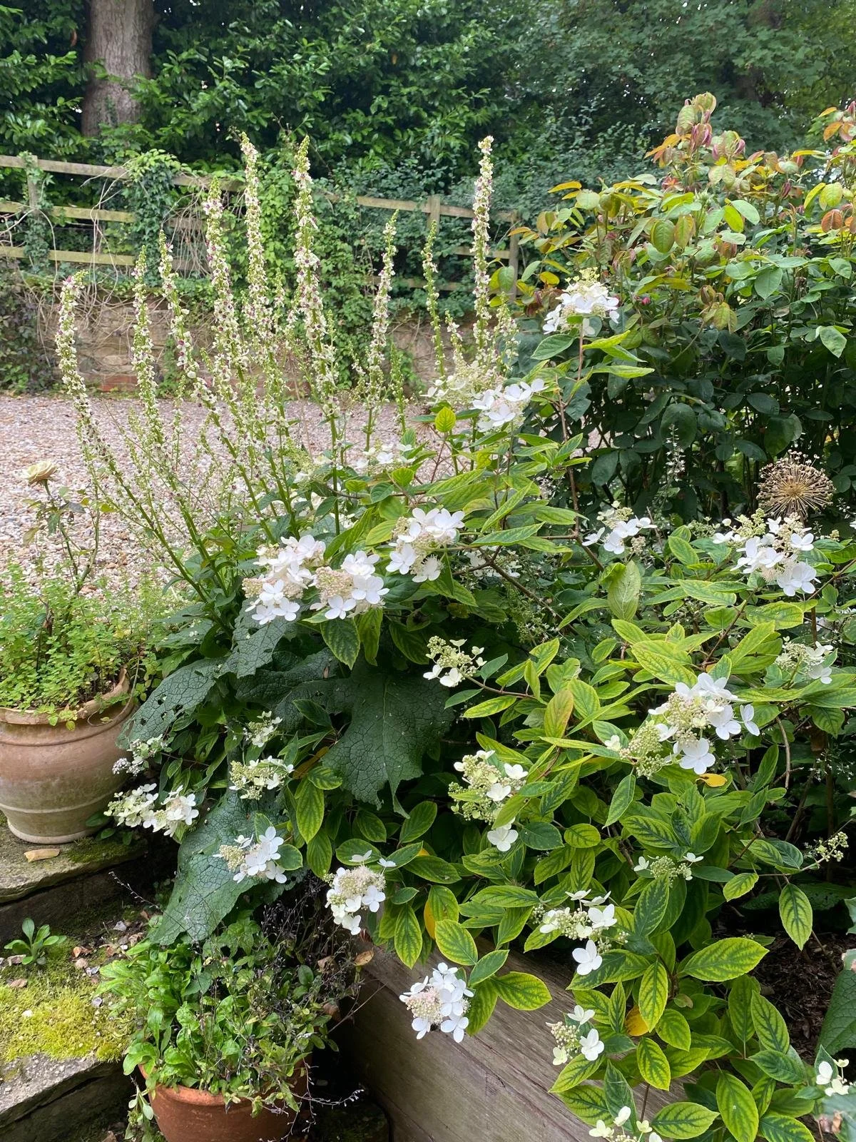 WhatsApp Image 2025-11-27 at 18.07.05.jpeg