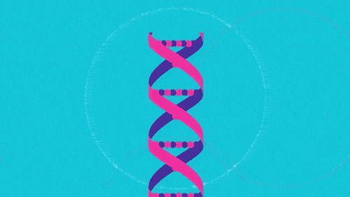DNA Animation