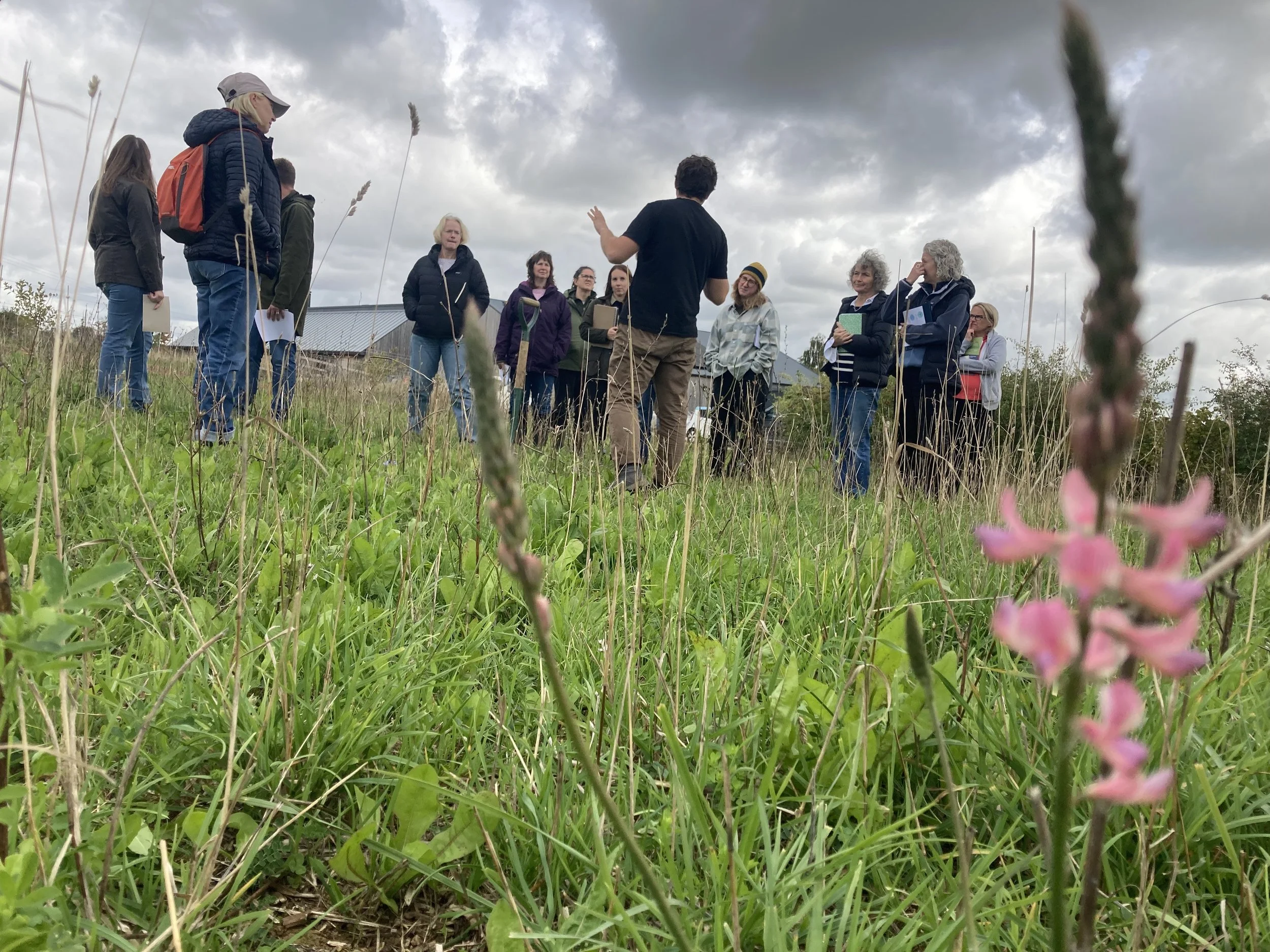 Building Resilience with Permaculture (summer, Oxfordshire)