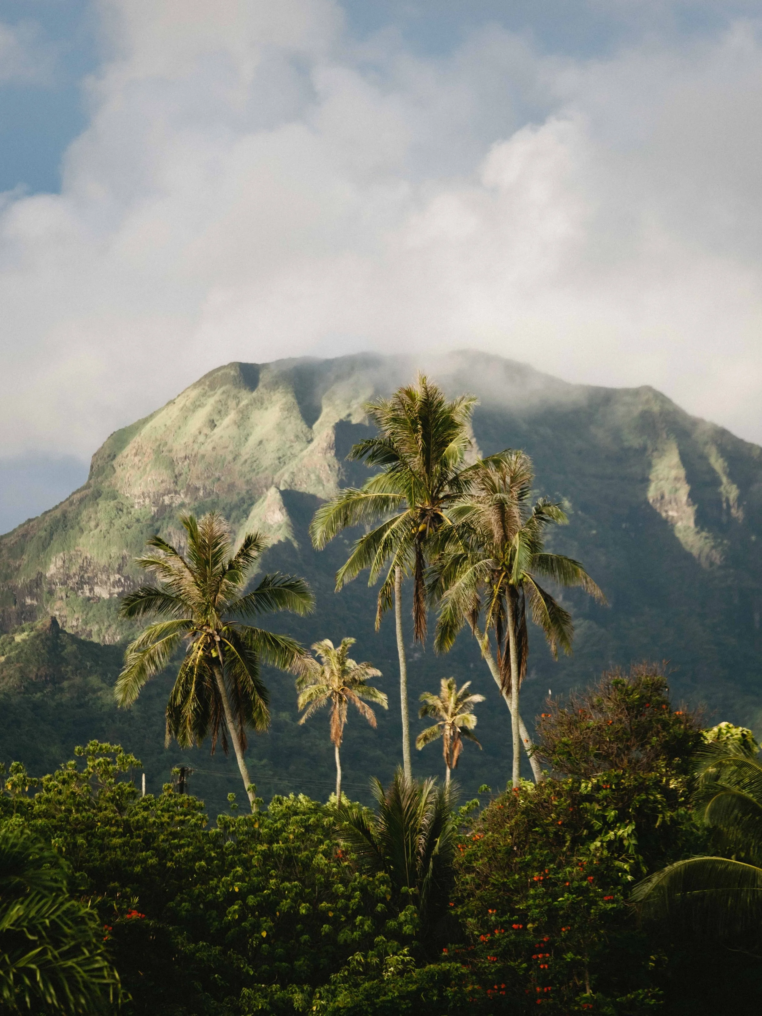 Hawaii&rsquo;s ridges are still some of my favourite landscapes I&rsquo;ve photographed. The lush vegetation, the dramatic light hitting the mountains, the beautiful beaches, the immense scale and that prehistoric feel.. ⛰️🌺🦕

Hawaii is a special p