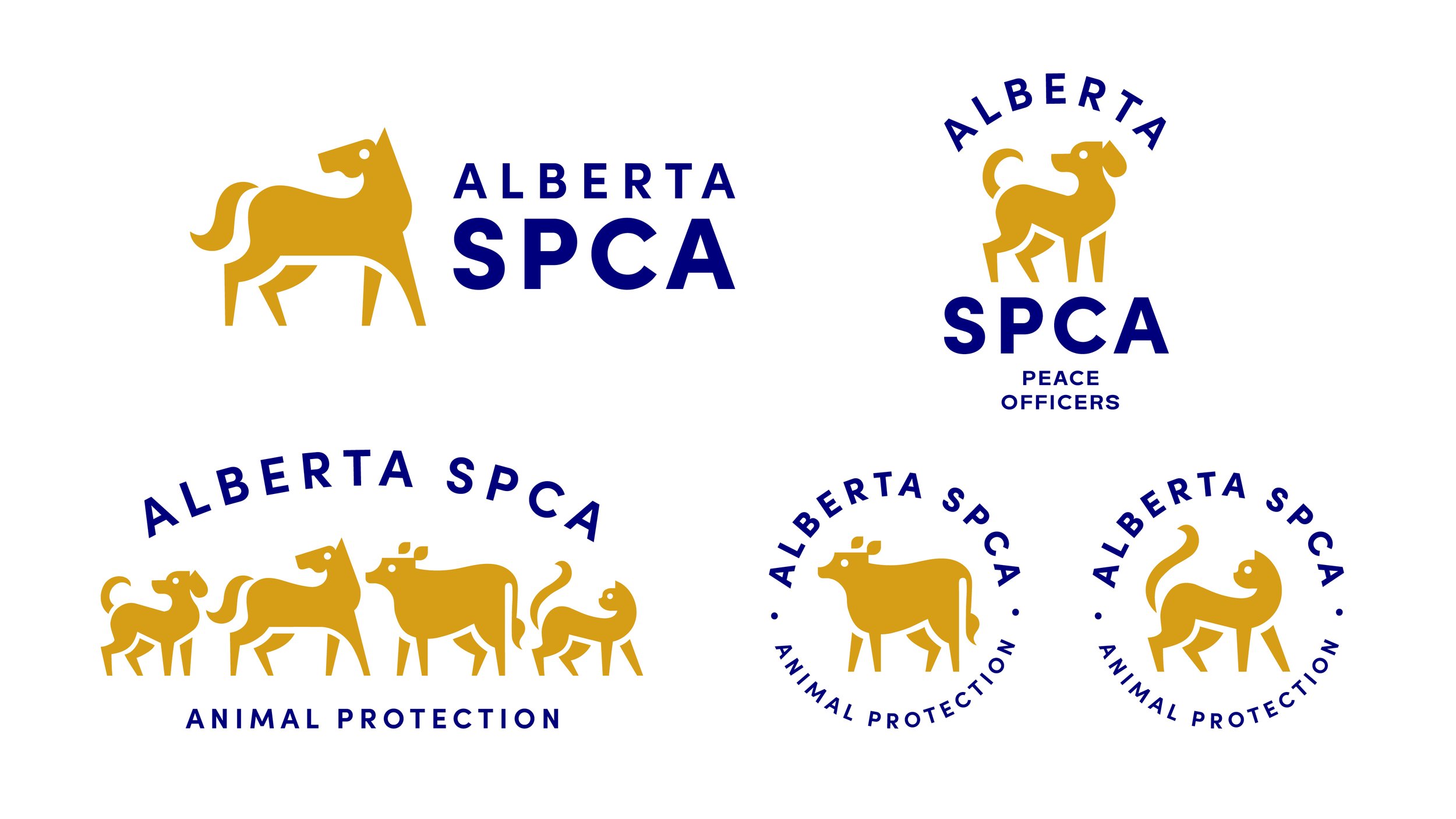 Alberta SPCA Logo Case Study6.jpg