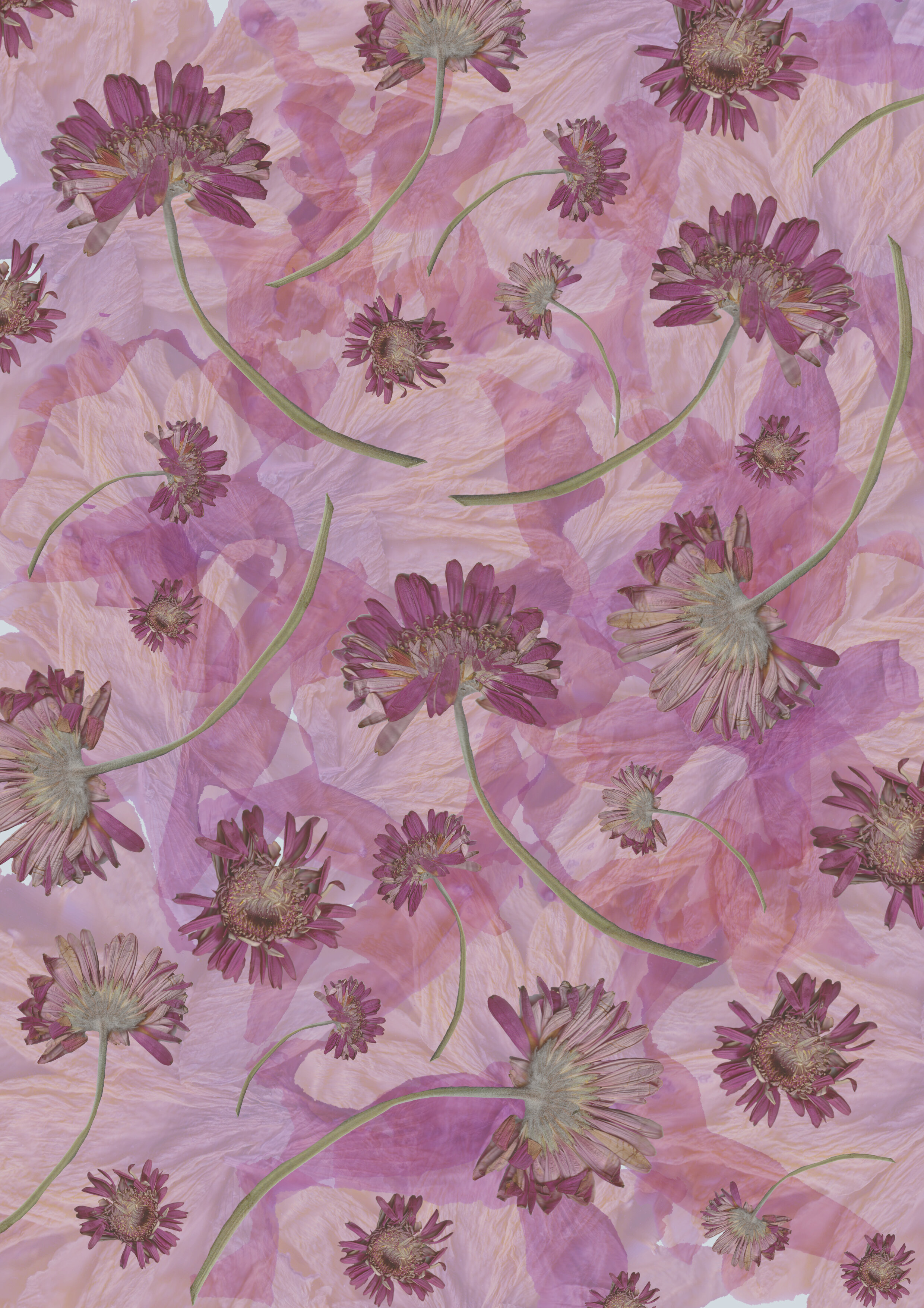 ditsy floral print 5 cw.jpg