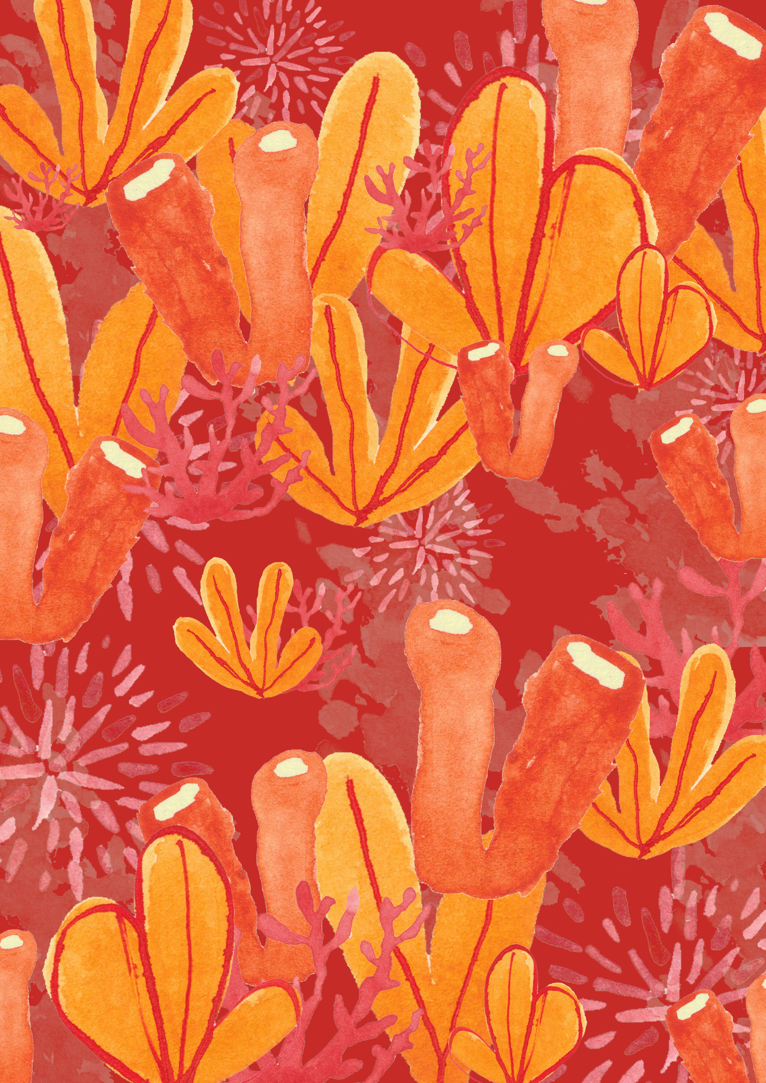 aquatic adventures print 2.jpg