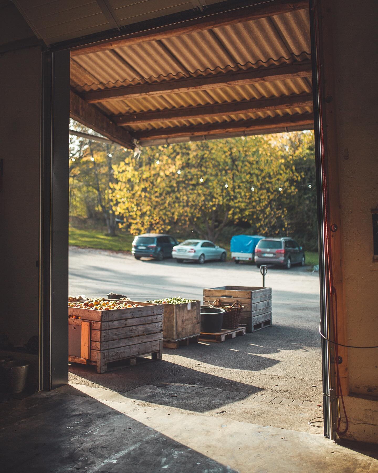 Noch ist unser Tor fast jeden Tag f&uuml;r euch ge&ouml;ffnet und wir verarbeiten eure letzten &Auml;pfel zu Saft. Bis zum 19.11.2022 k&ouml;nnt ihr die M&ouml;glichkeit noch nutzen. Sichert euch jetzt einen der wenigen letzten Termine f&uuml;r die E