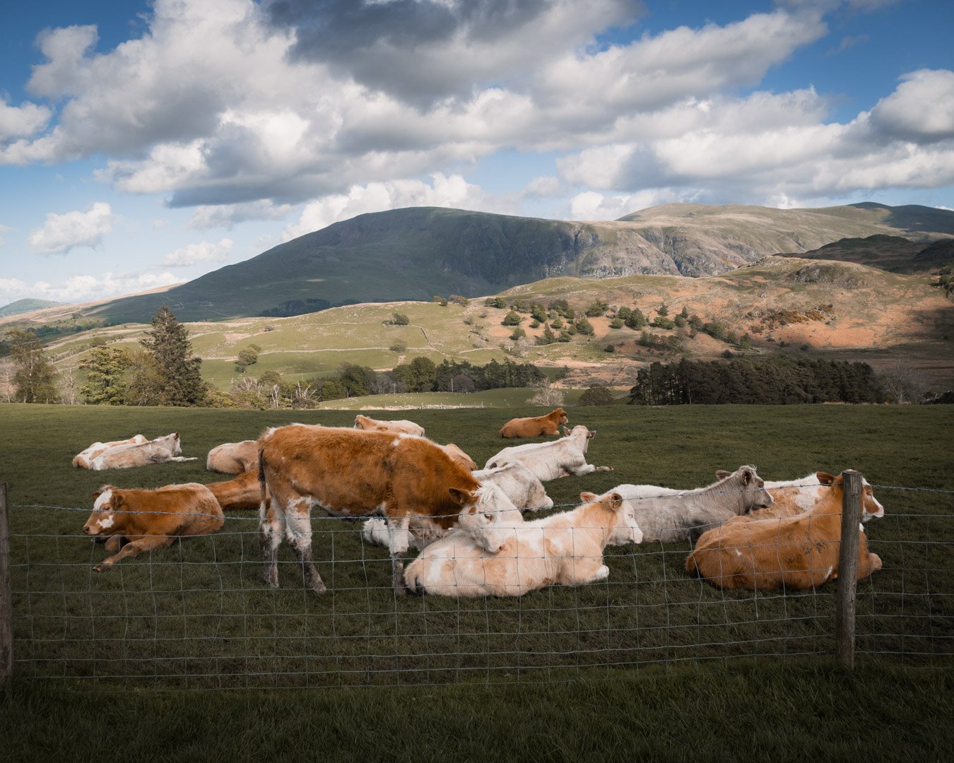 Lake District, UK - May 2022