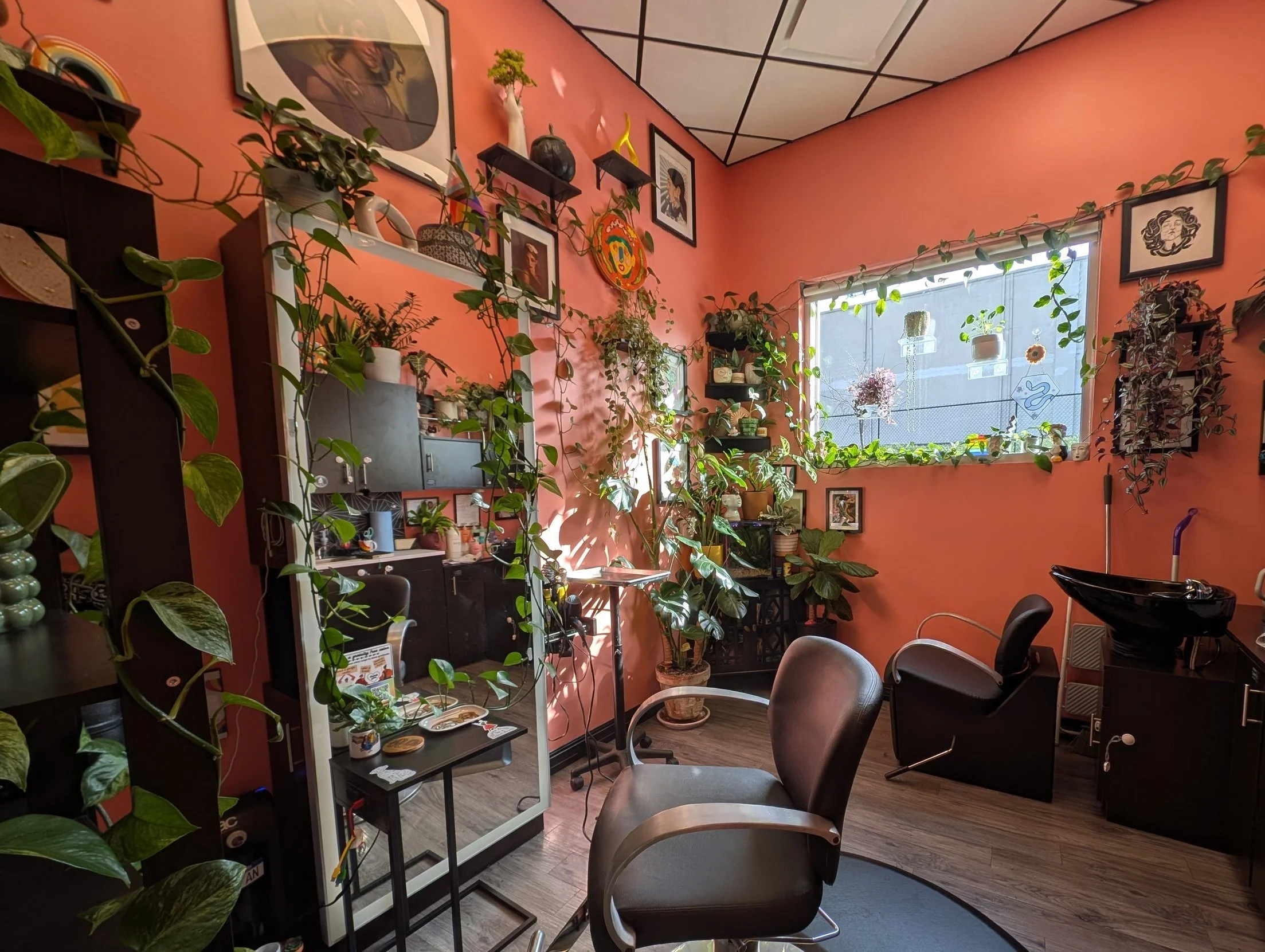 Medusa Lounge