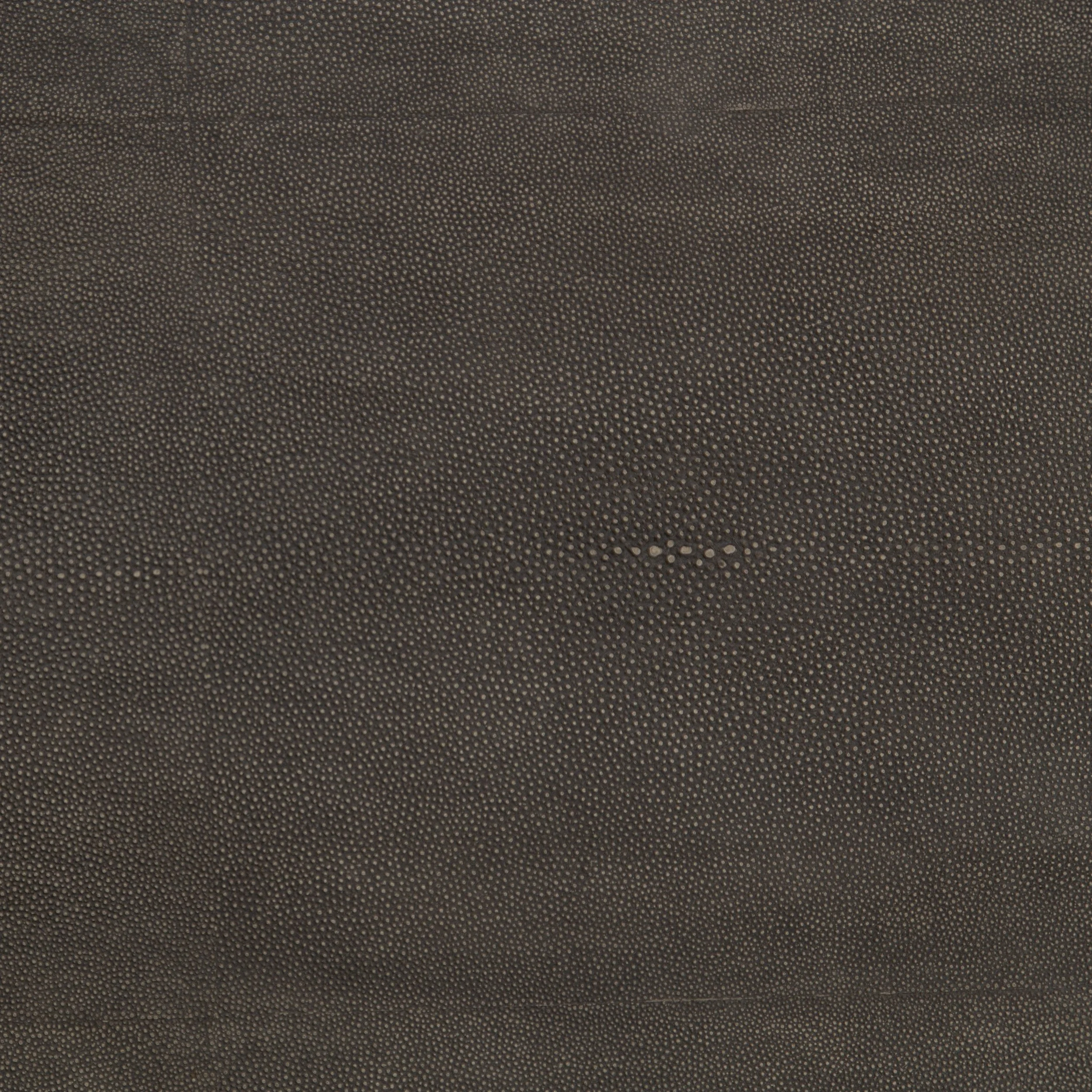 Shagreen Shadow Box Coffee Table 1.4.jpg