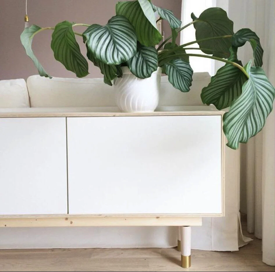 Pretty Pegs House of Dawn