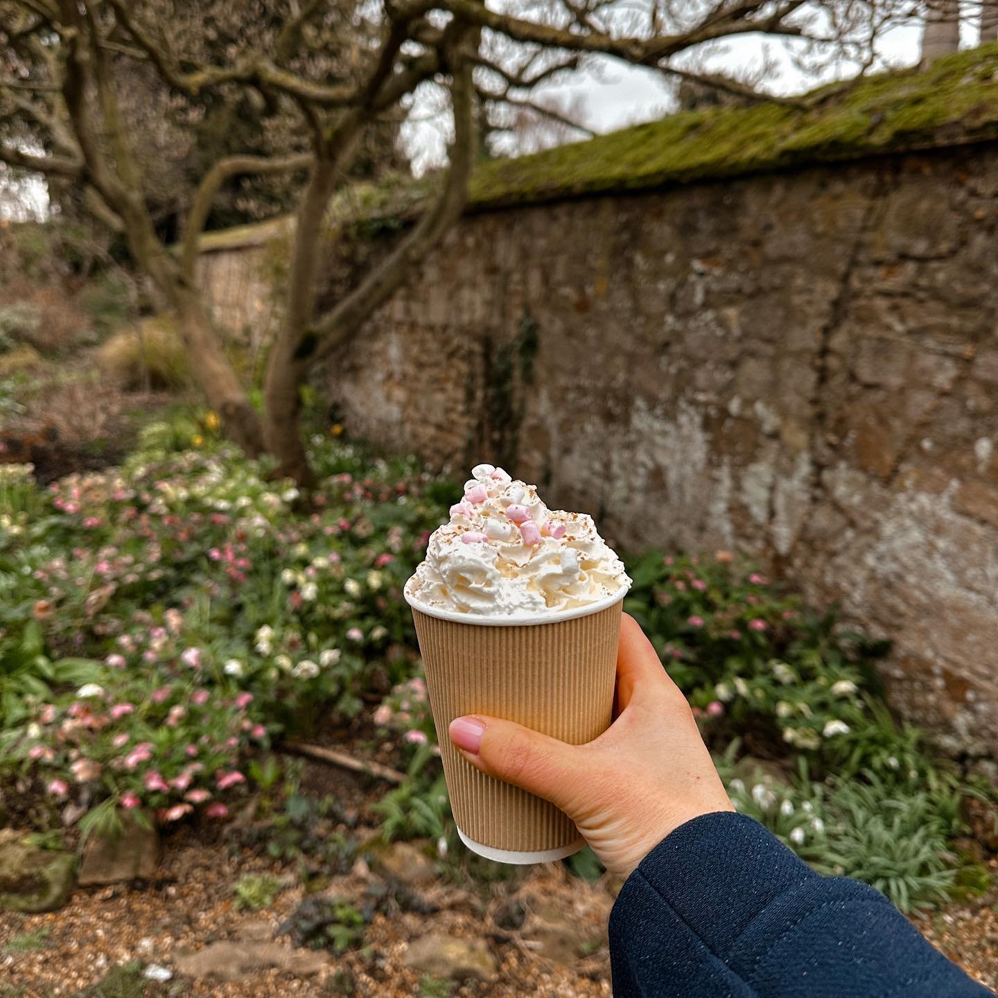 Clearly I have a thing for hot chocolate 😍 but&hellip;. This might have been the best one yet! Not to mention the view of Ely cathedral right outside the cafe. Took a stroll on a crisp and slightly rainy day but still spotted some blooms along the w