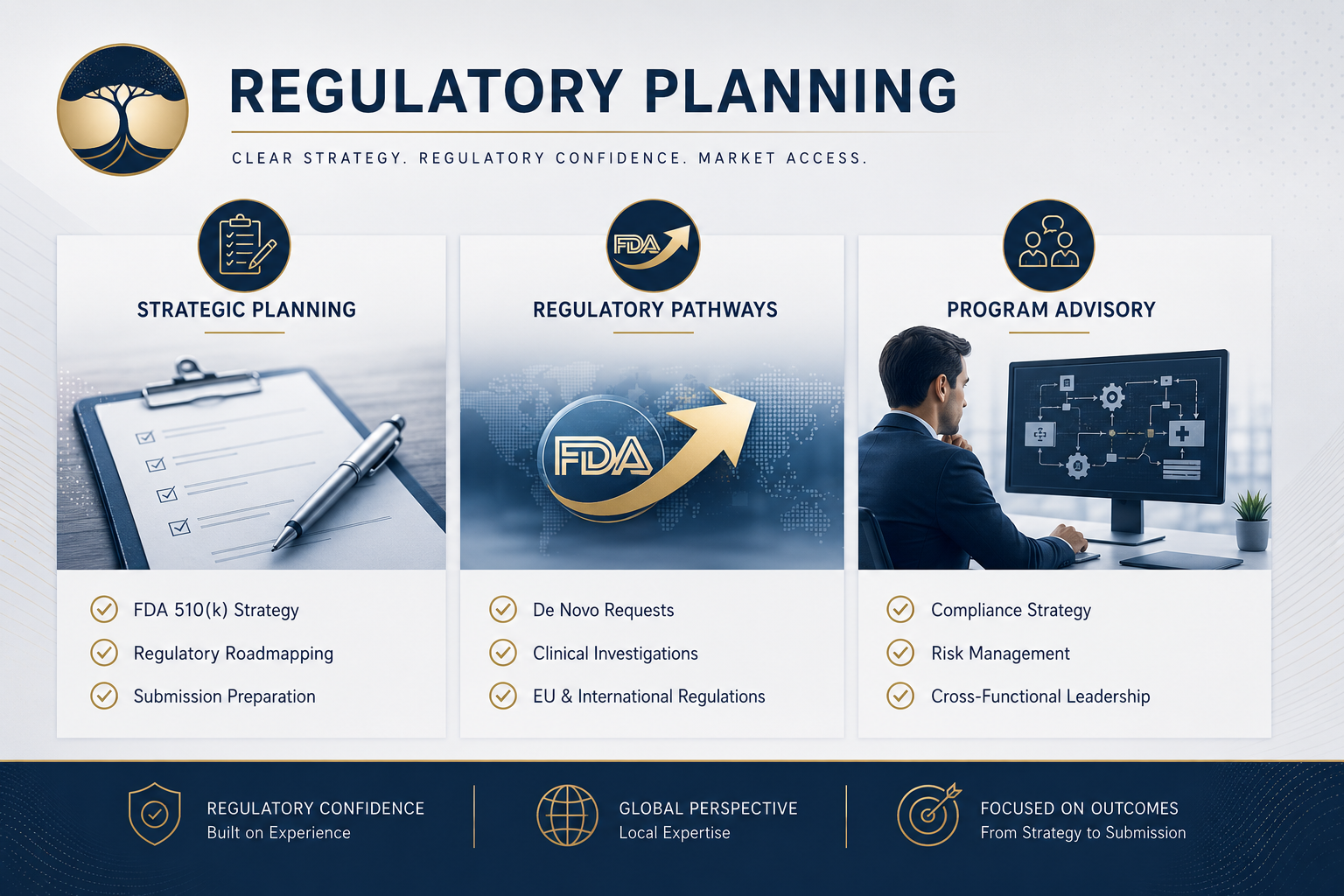 A professional infographic about regulatory planning, featuring sections on strategic planning, regulatory pathways, and program advisory, with icons, images, and checklists.