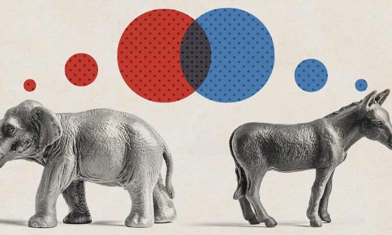 The Hidden Tribes of America and Political Polarization