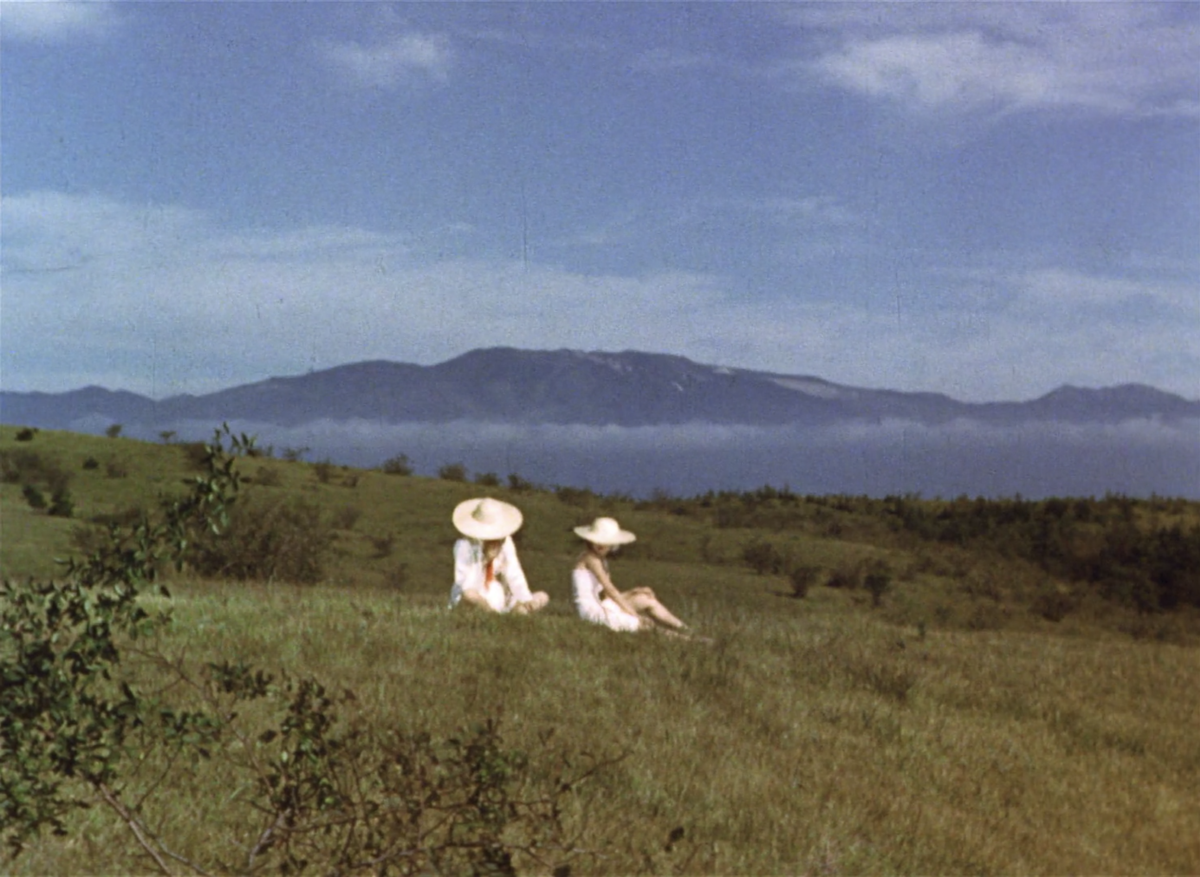 Screen Shot 2021-05-10 at 6.55.34 PM.png