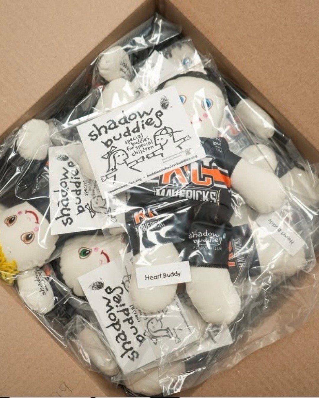 Thank you for an incredible turnout at the Mavericks games throughout December!

Your support is making a huge impact in helping us reach our goals and getting more Shadow Buddies into the hands of children who need comfort and companionship. 

Shado