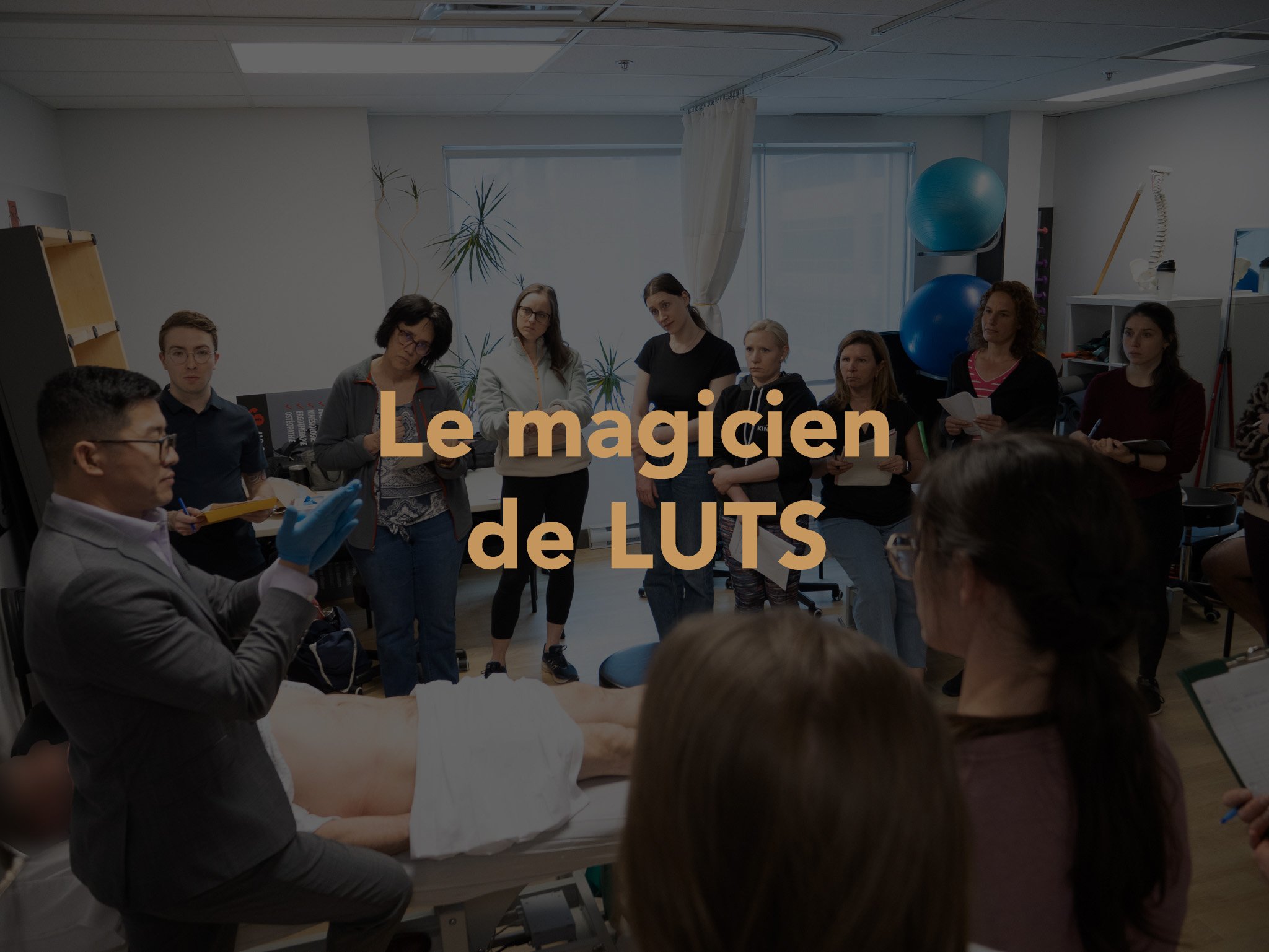 le magicien de luts.jpg